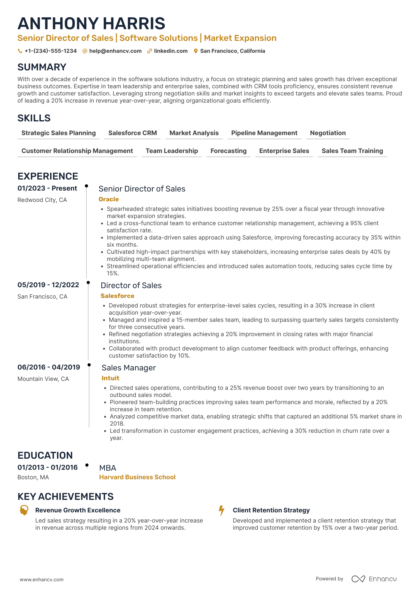 A resume example of a Senior Director of Sales