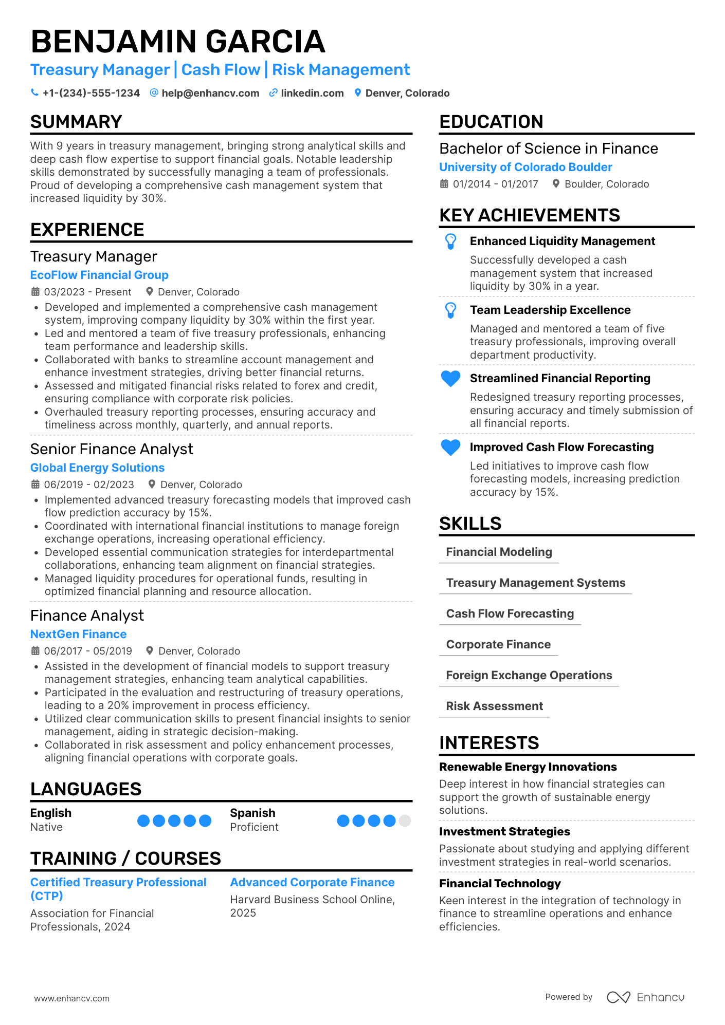 A resume example of a Treasury Manager