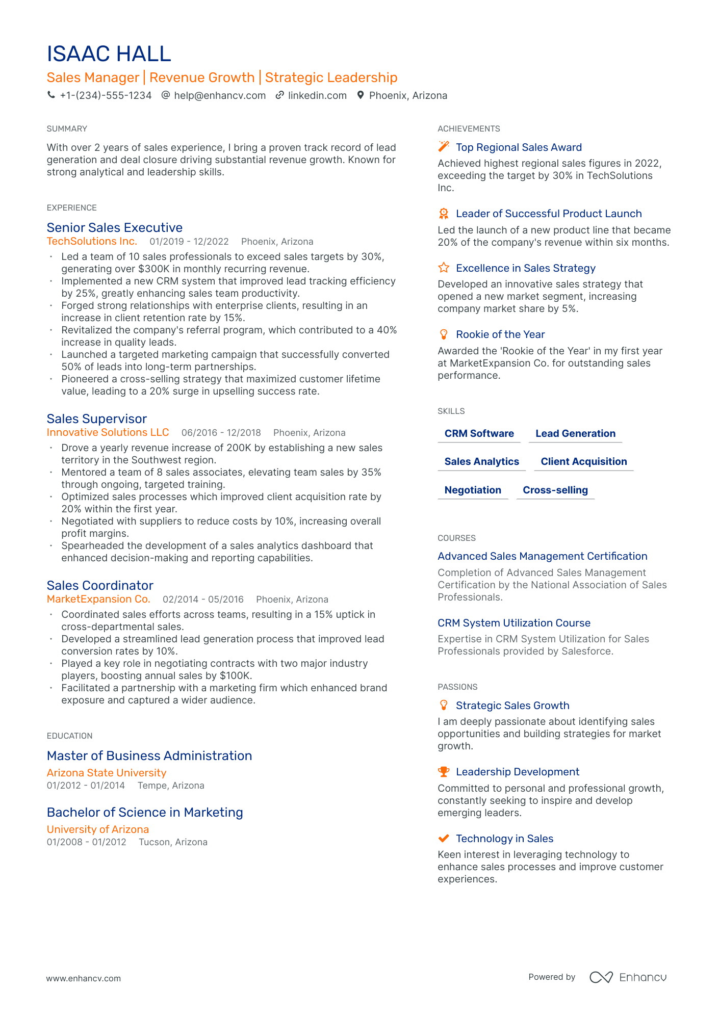 sample resume for sales manager in india