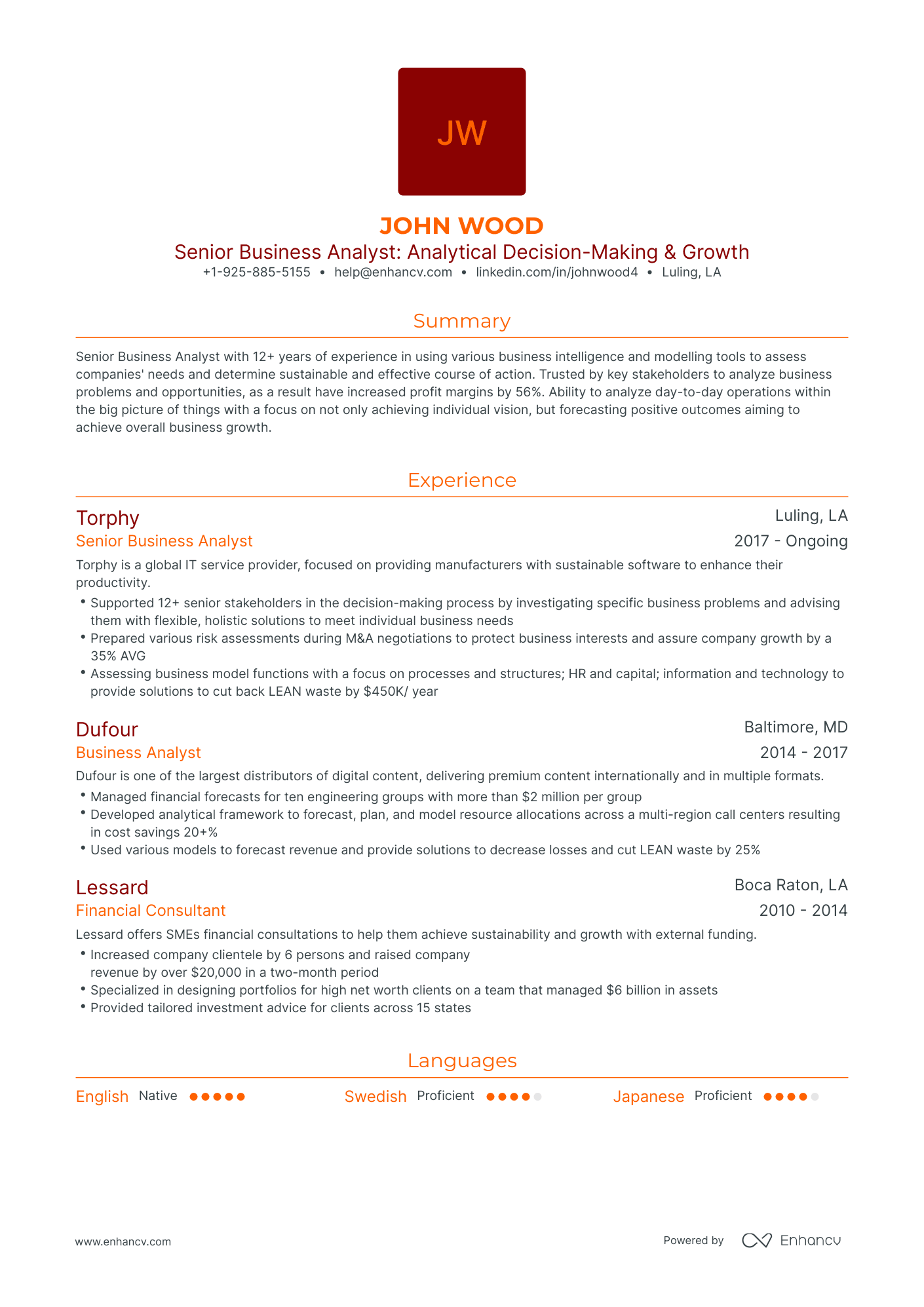 Traditional Senior Business Analyst Resume Template