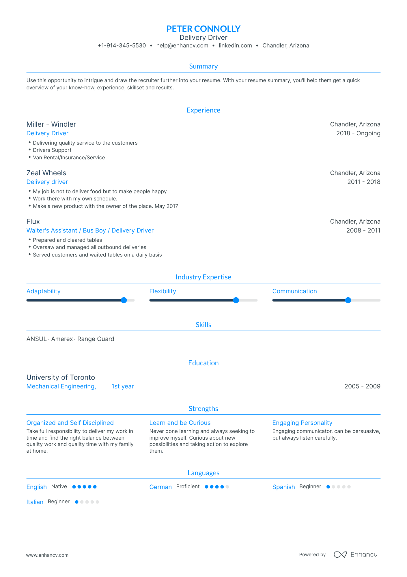 Traditional Delivery Driver Resume Template