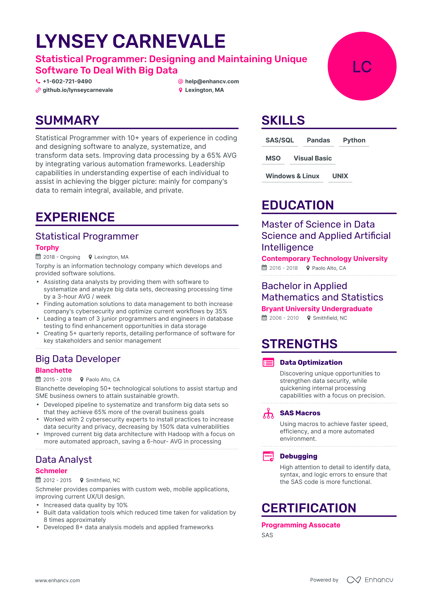 Simple Statistical Programmer Resume Template