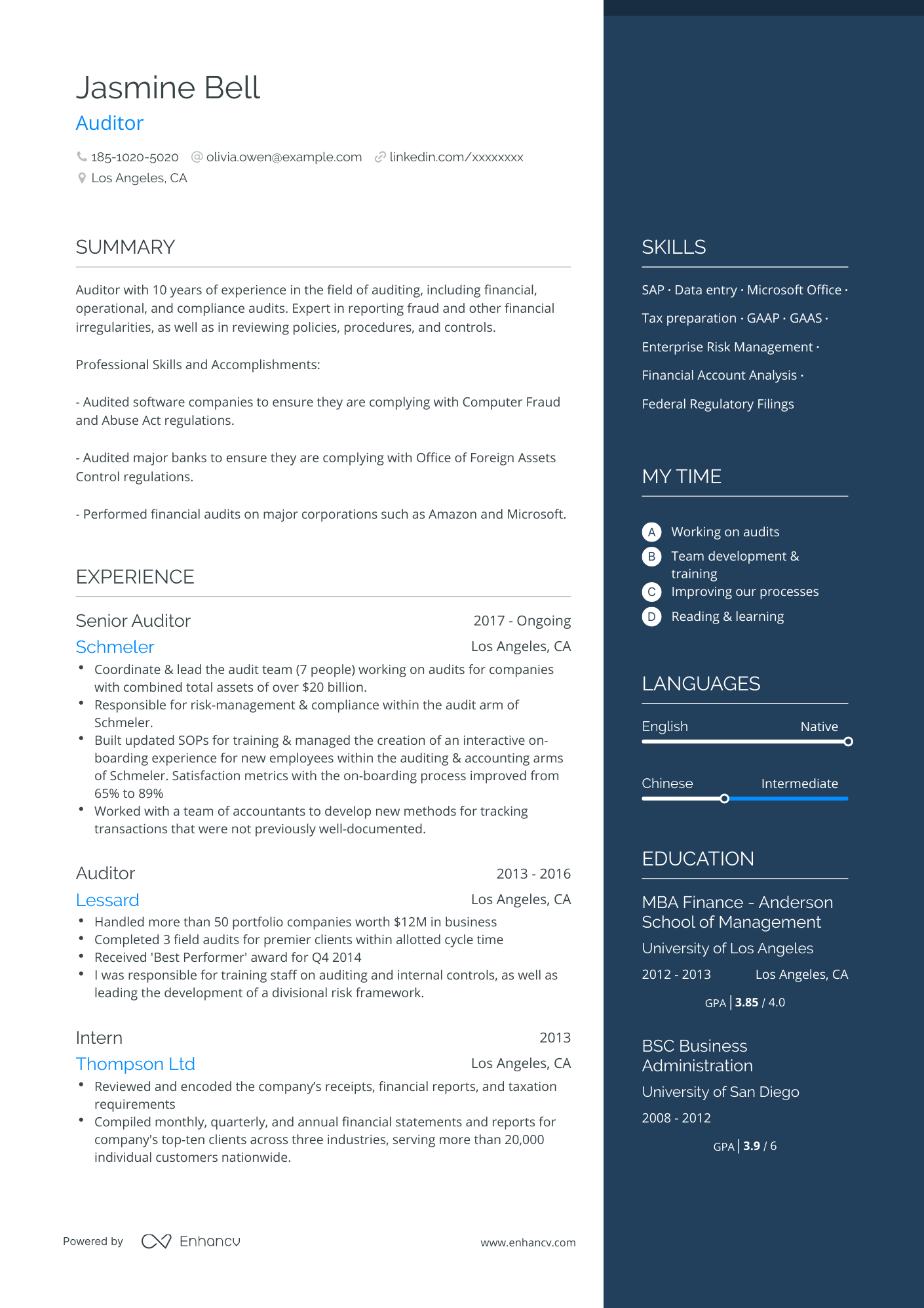 One Page Auditor Resume Template