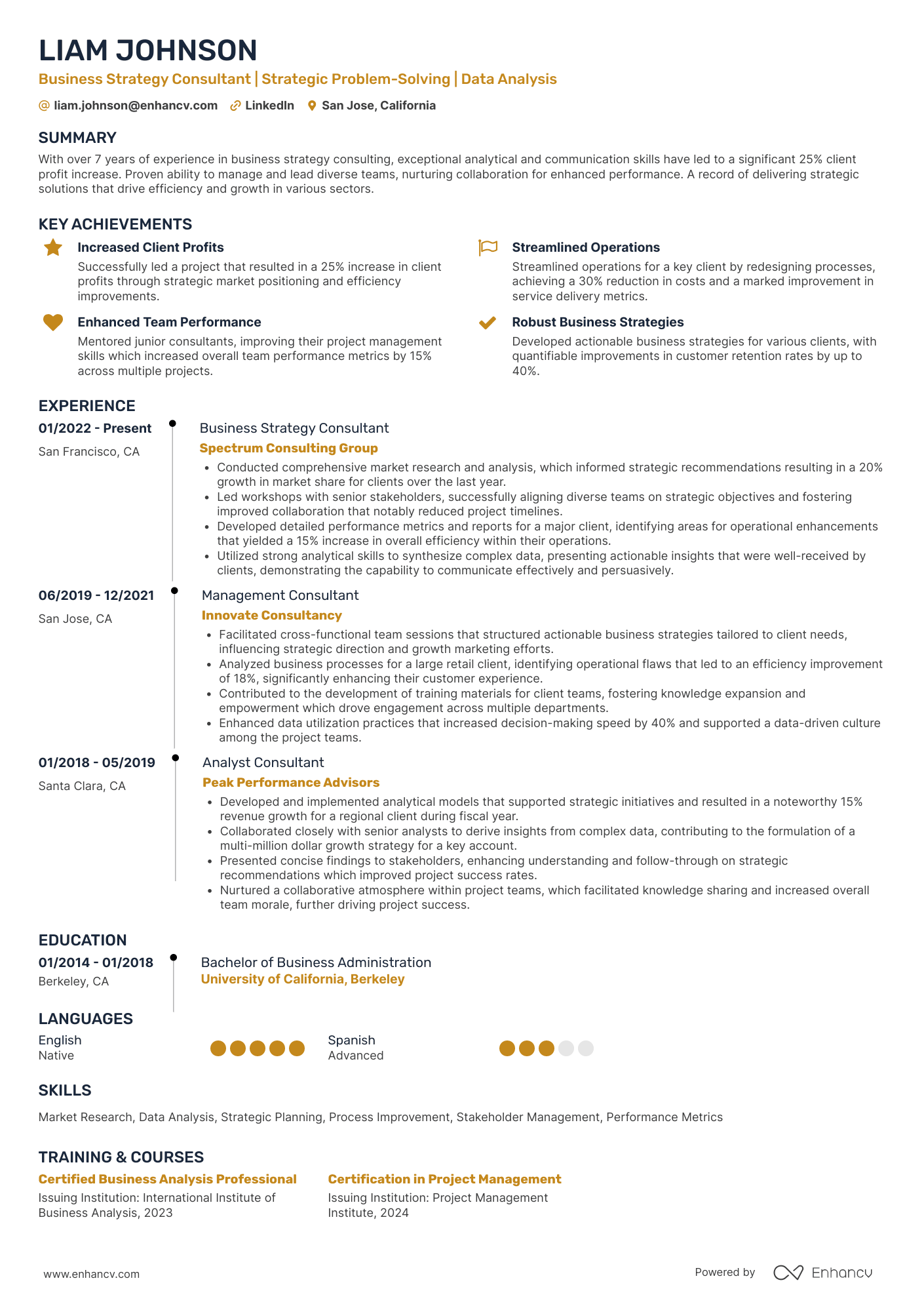A resume example of a Business Strategy Consultant