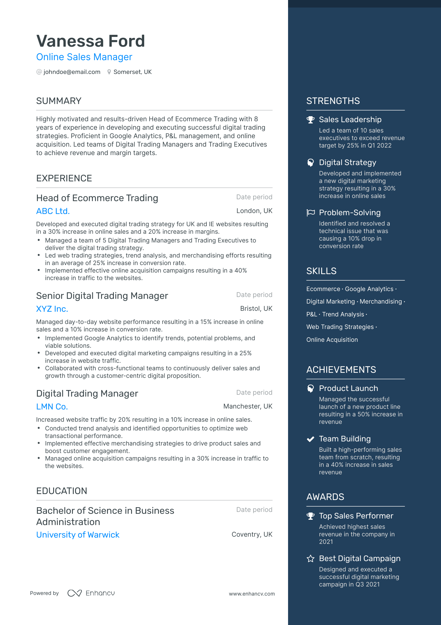 One Page Online Sales Manager Resume Template