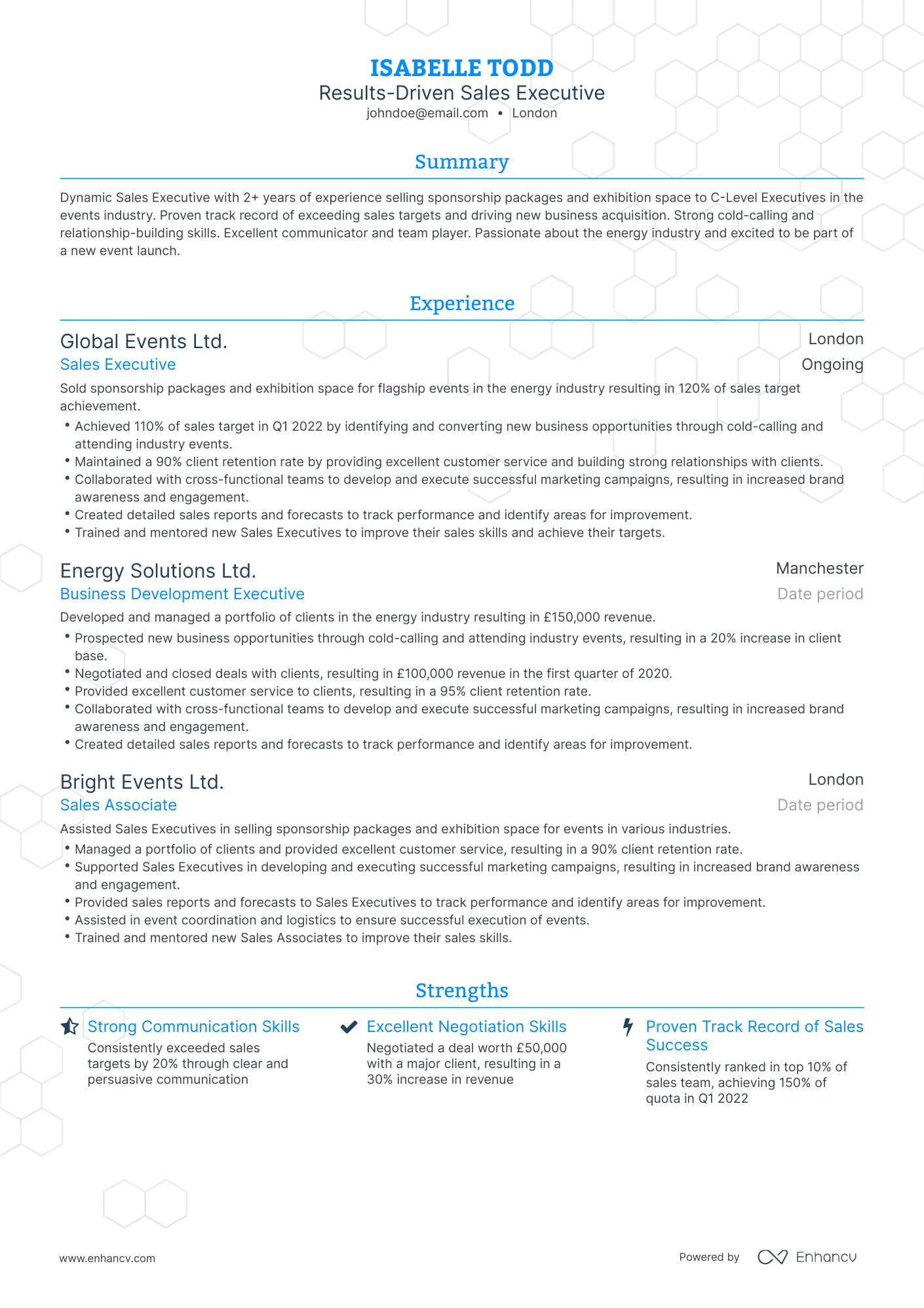 Traditional Sales Executive Resume Template