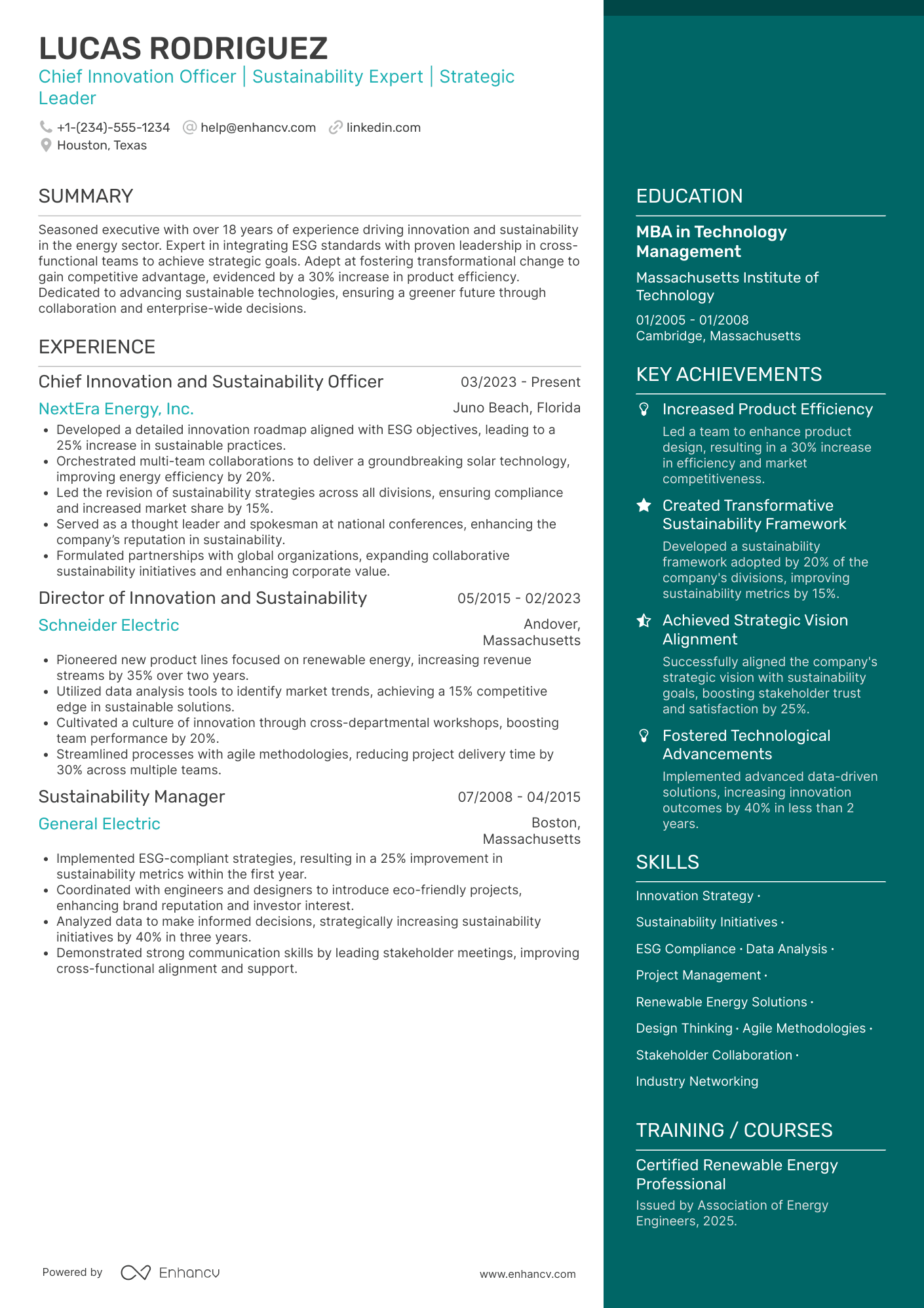 A resume example of a Chief Innovation and Sustainability Officer