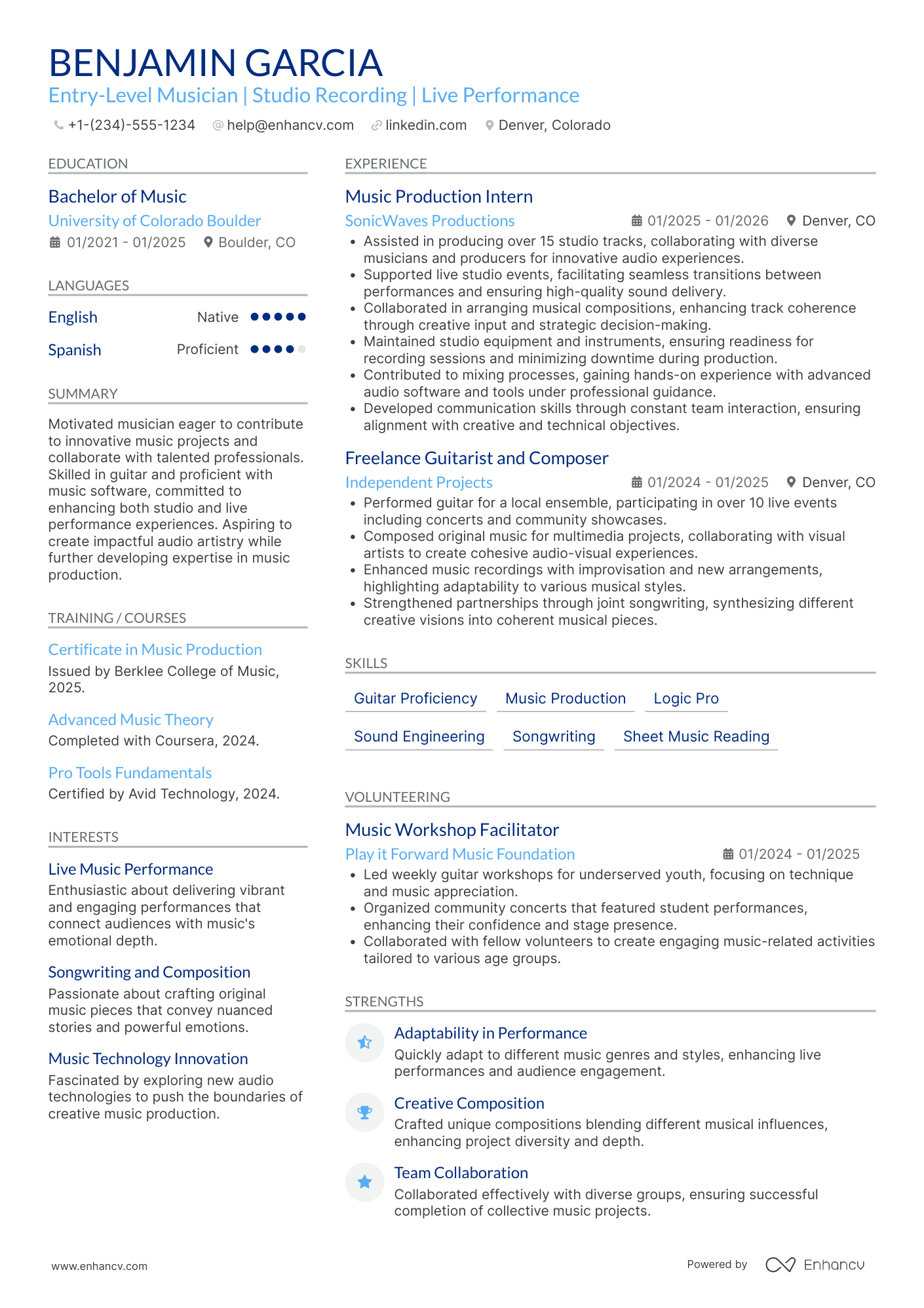 A resume example of a Entry Level Musician