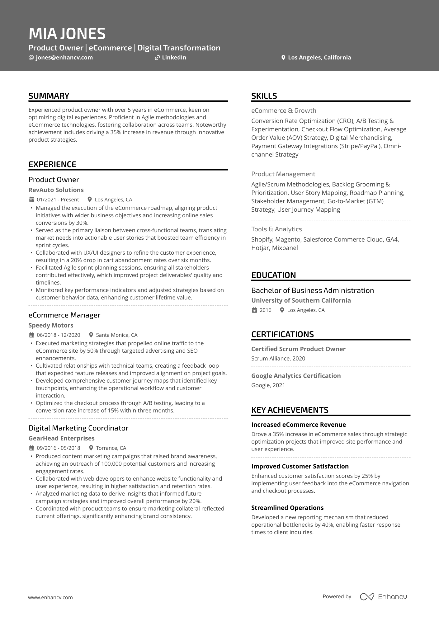 A resume example of a eCommerce Product Owner