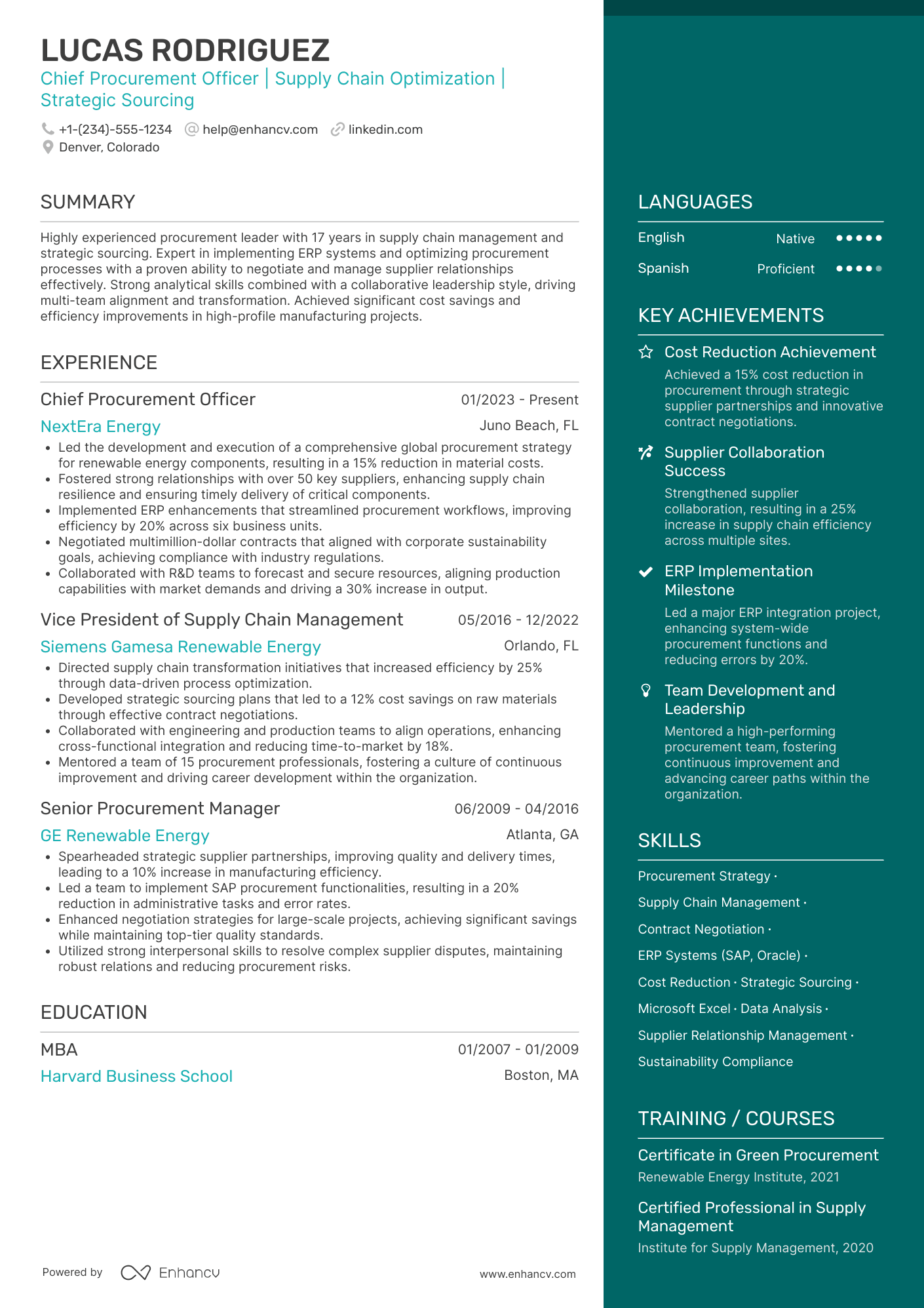 A resume example of a Chief Procurement Officer