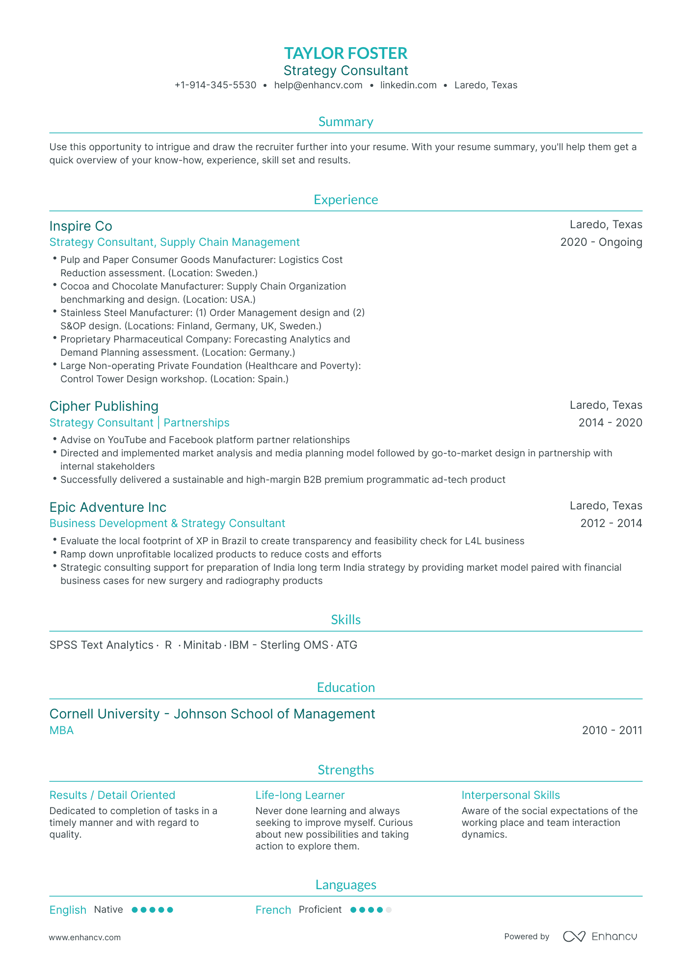 Traditional Strategy Consultant Resume Template