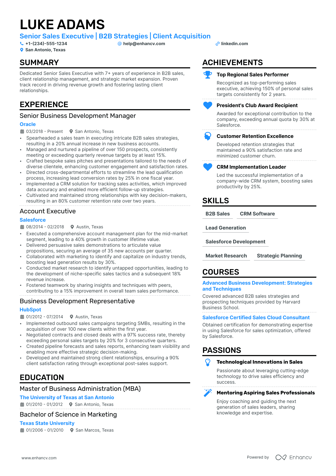 resume format for sales executive in word