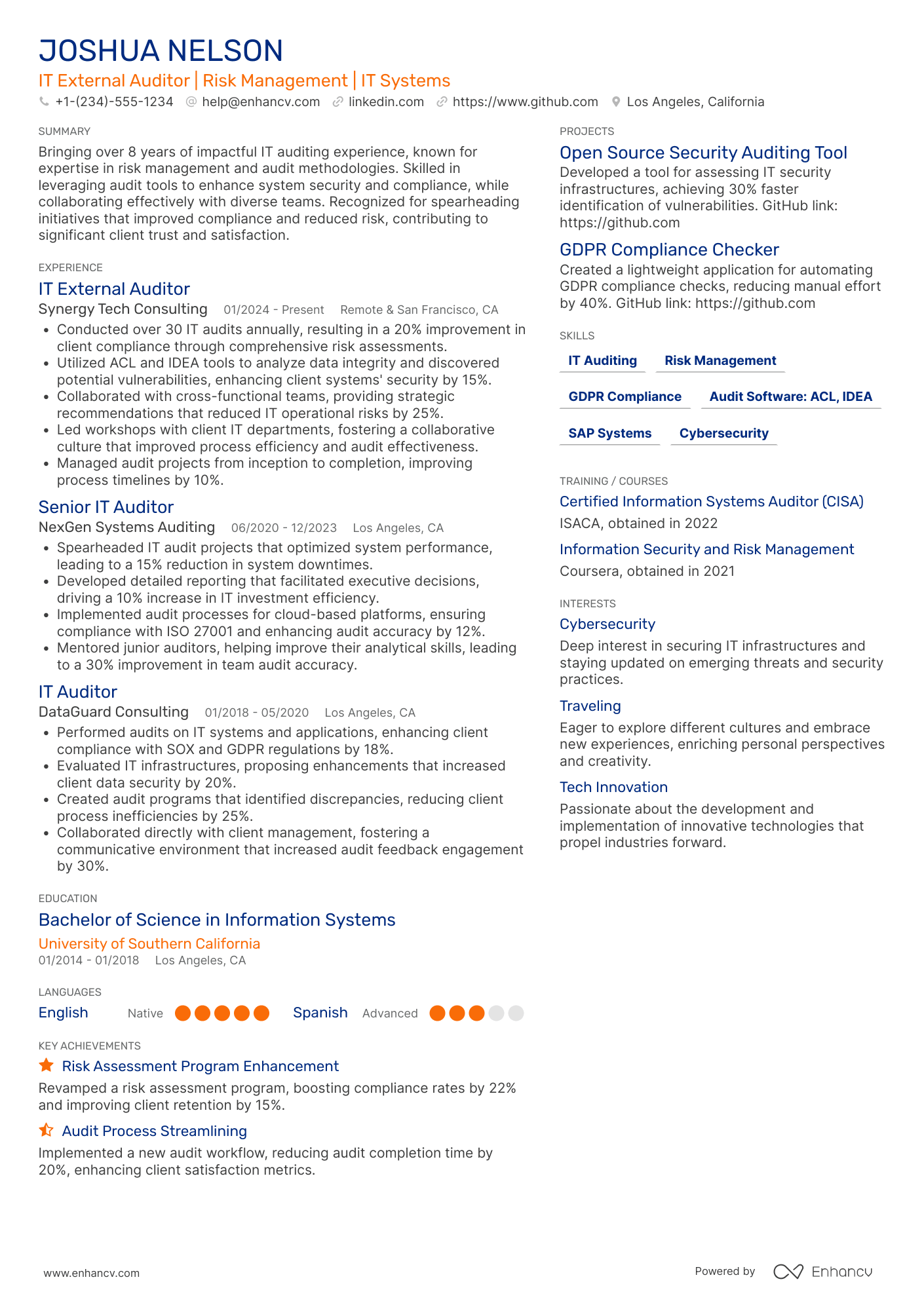 A resume example of a IT External Auditor
