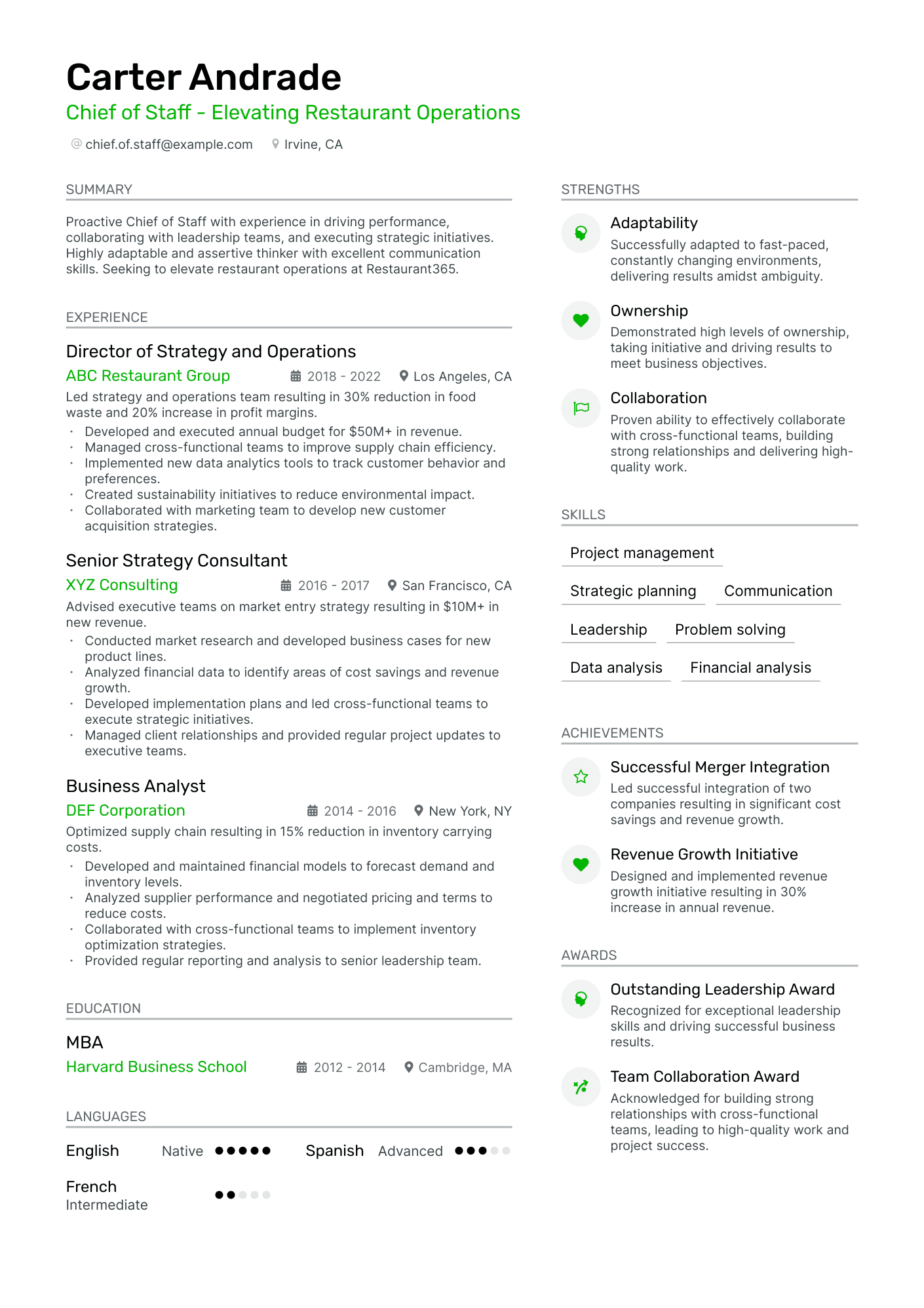 executive vice president resume examples