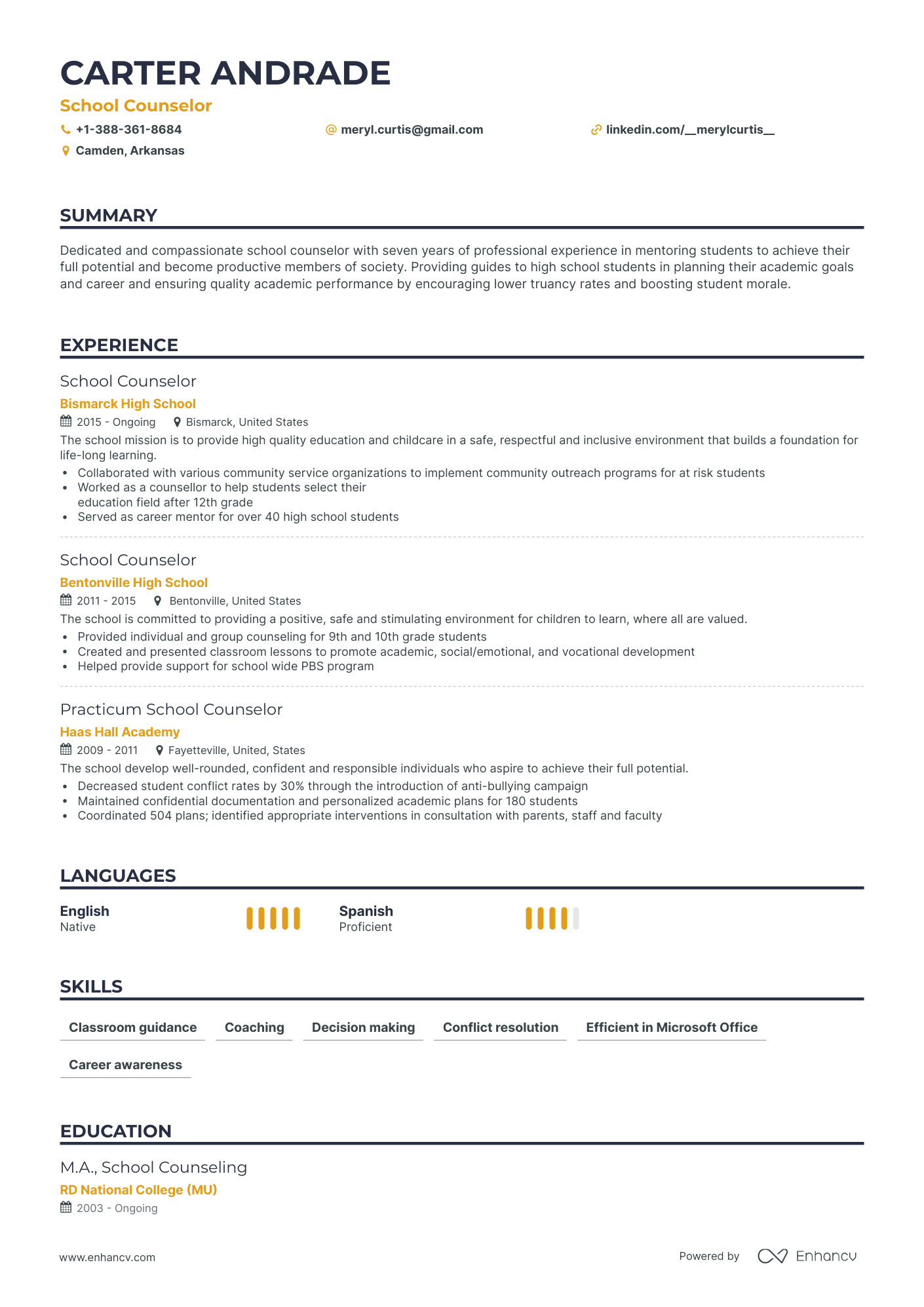 Classic School Counselor Resume Template