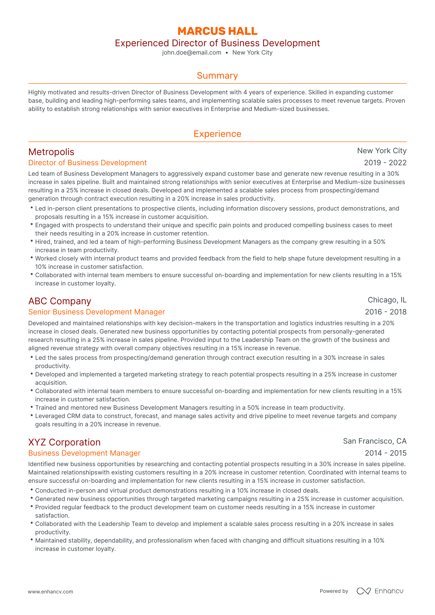 Traditional Director Of Business Development Resume Template