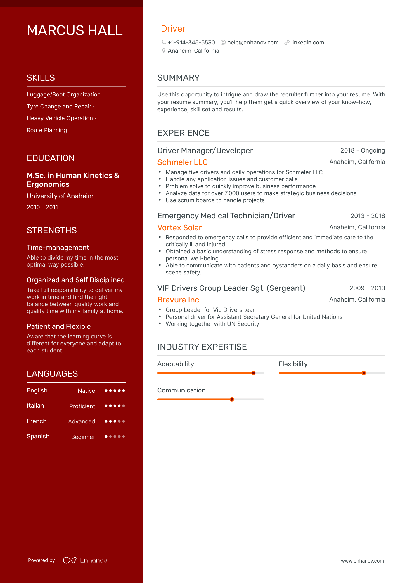 Polished Driver Resume Template