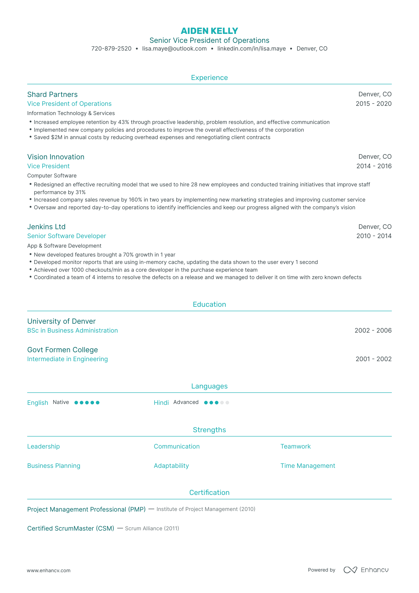 Traditional Vice President Resume Template