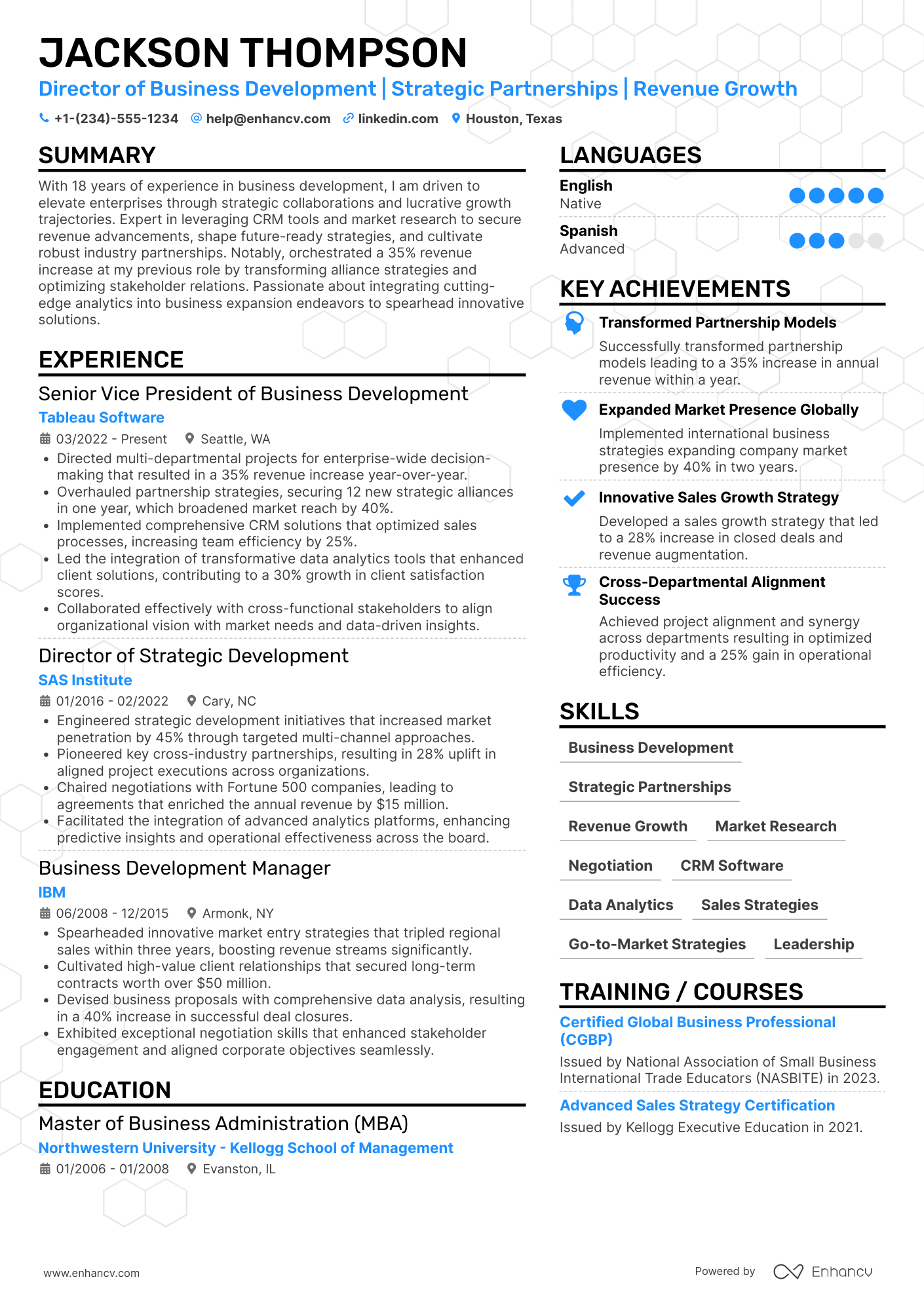 A resume example of a Director of Business Development