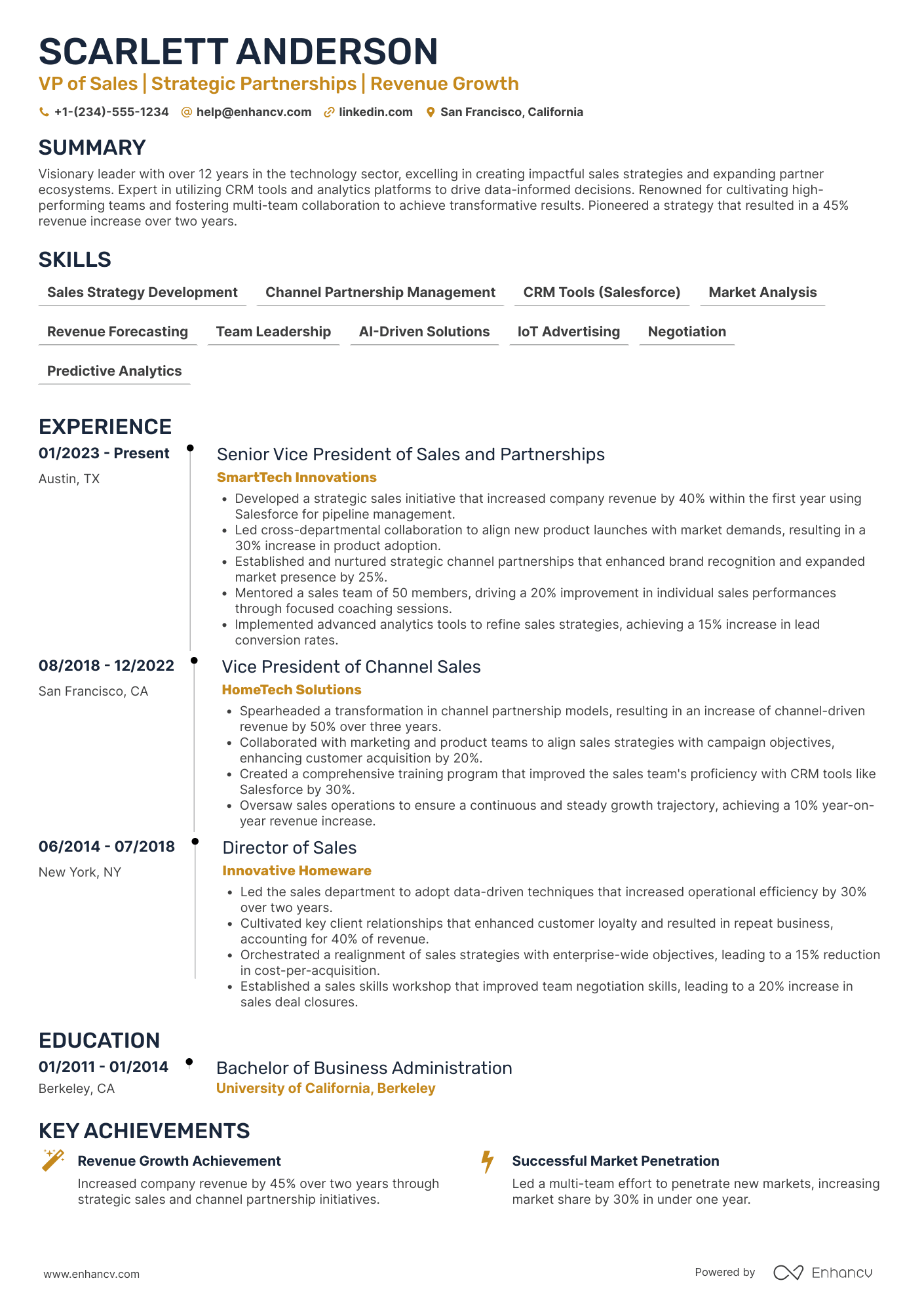 A resume example of a VP of Sales and Channel Partnerships