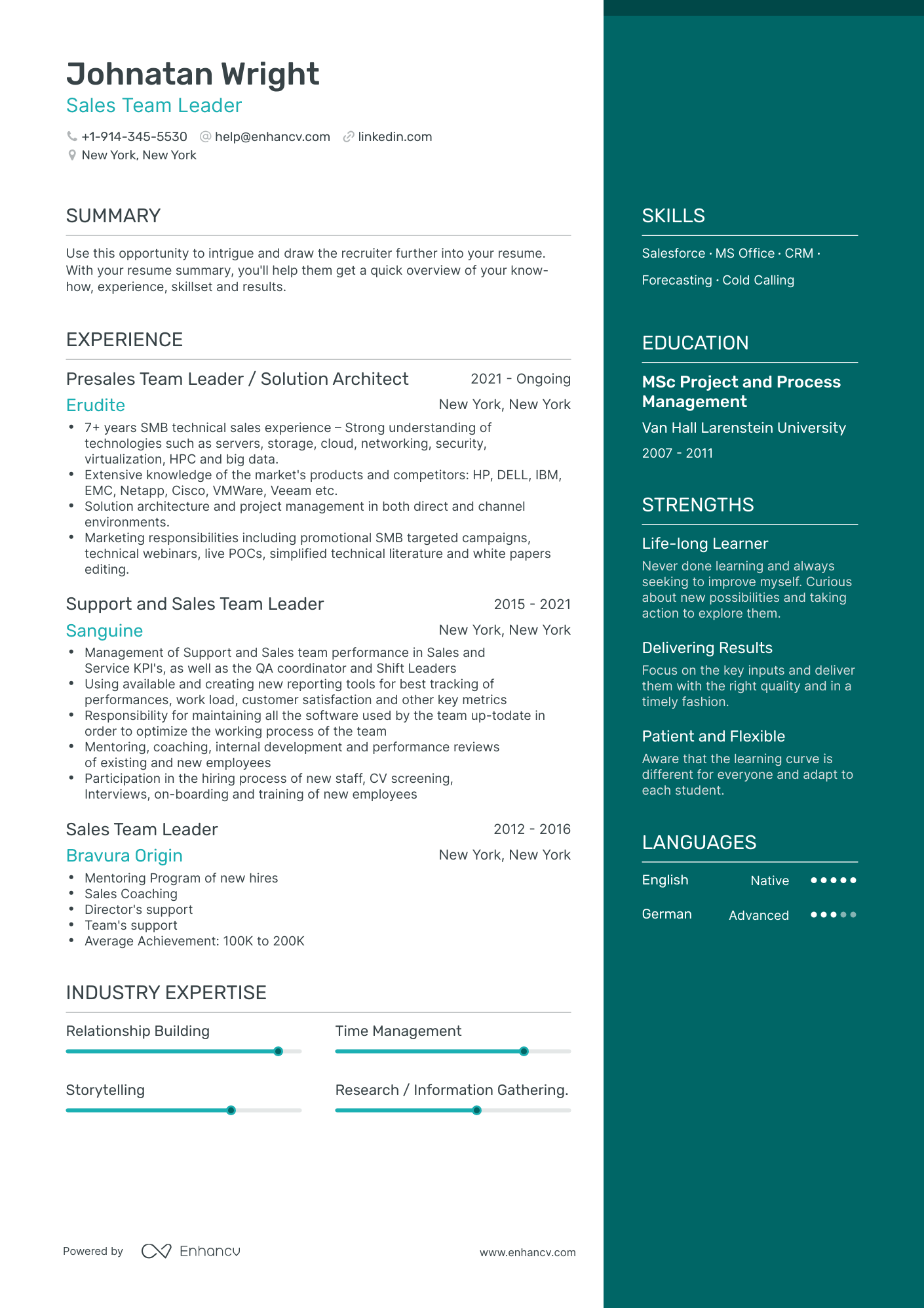 Sales Team Leader Resume Examples & Guide For 2023 (layout, Skills 