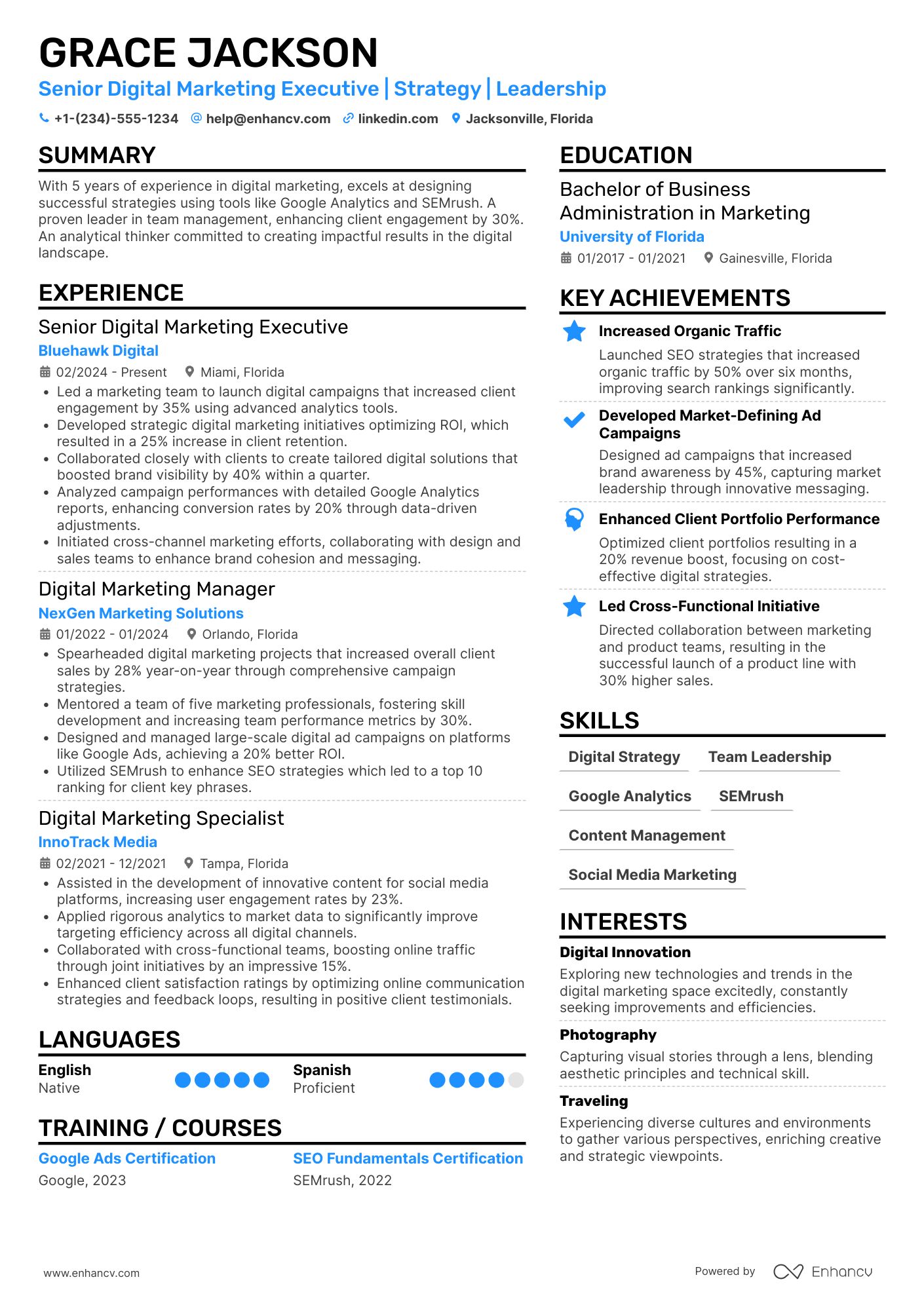 A resume example of a Senior Digital Marketing Executive
