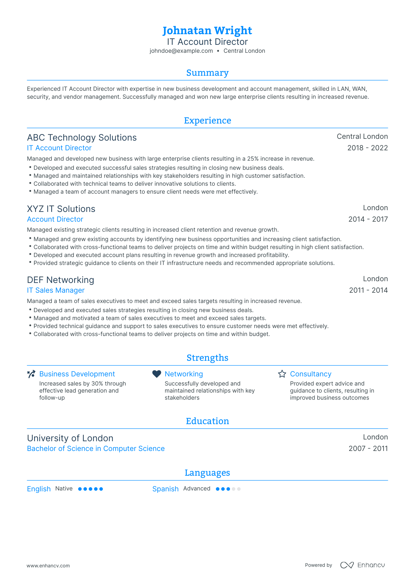 Traditional Account Director Resume Template