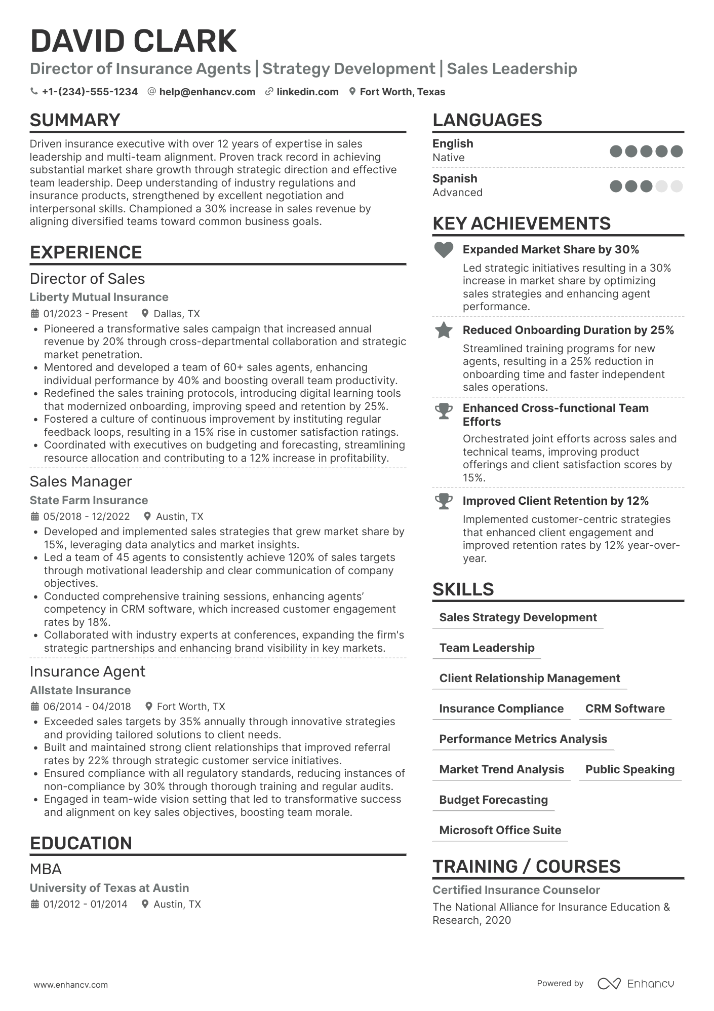 A resume example of a Director of Insurance Agents
