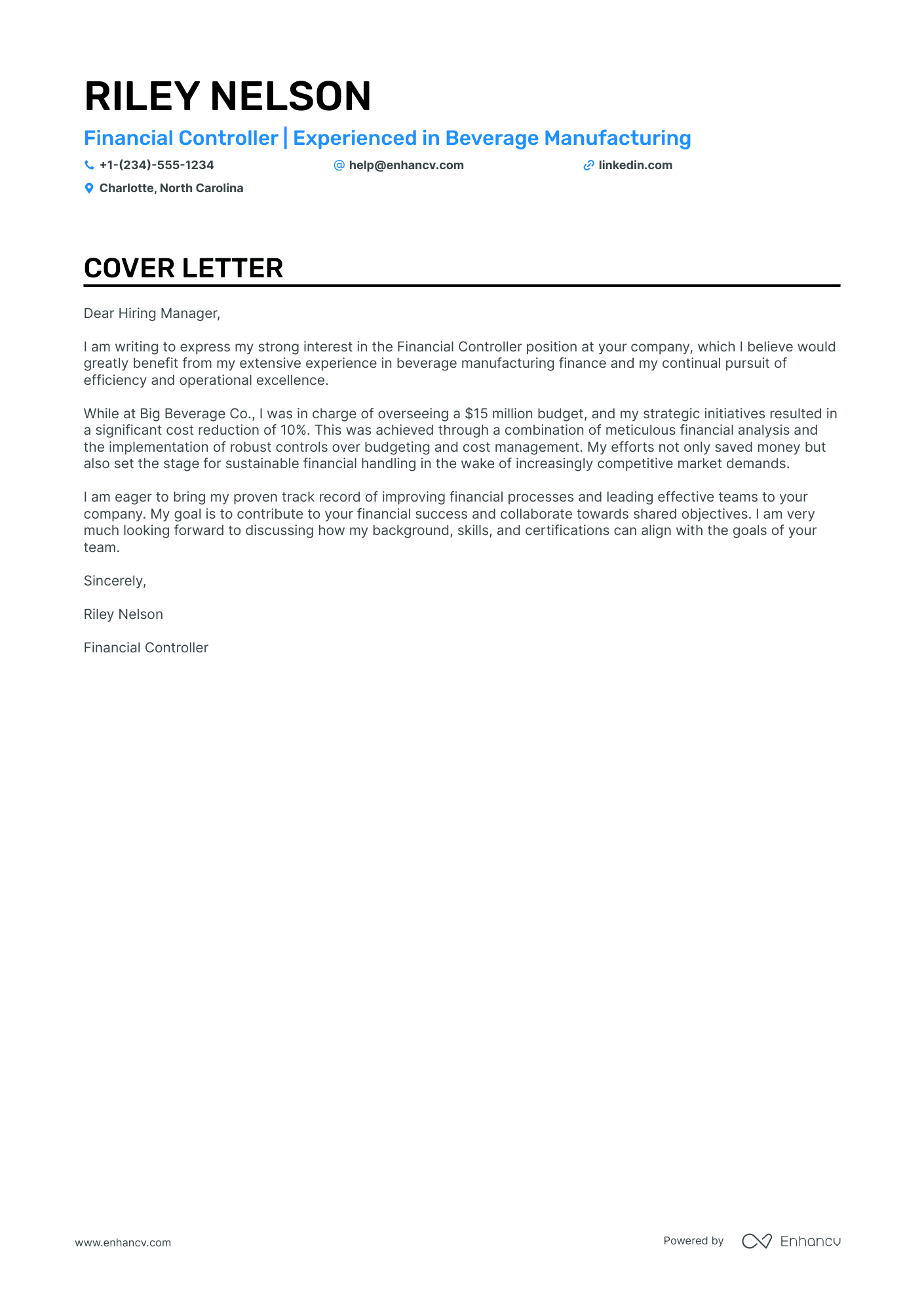 chief executive officer cover letter