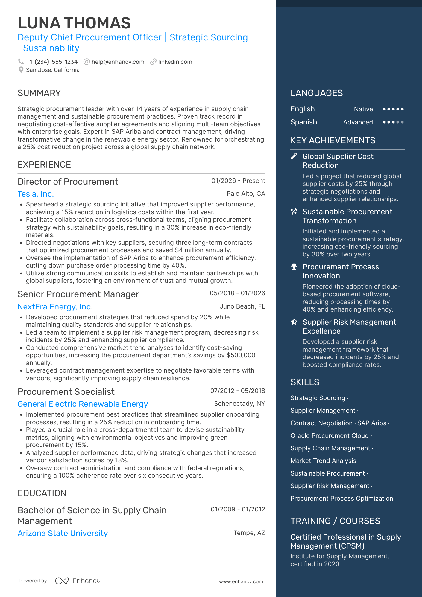 A resume example of a Deputy Chief Procurement Officer