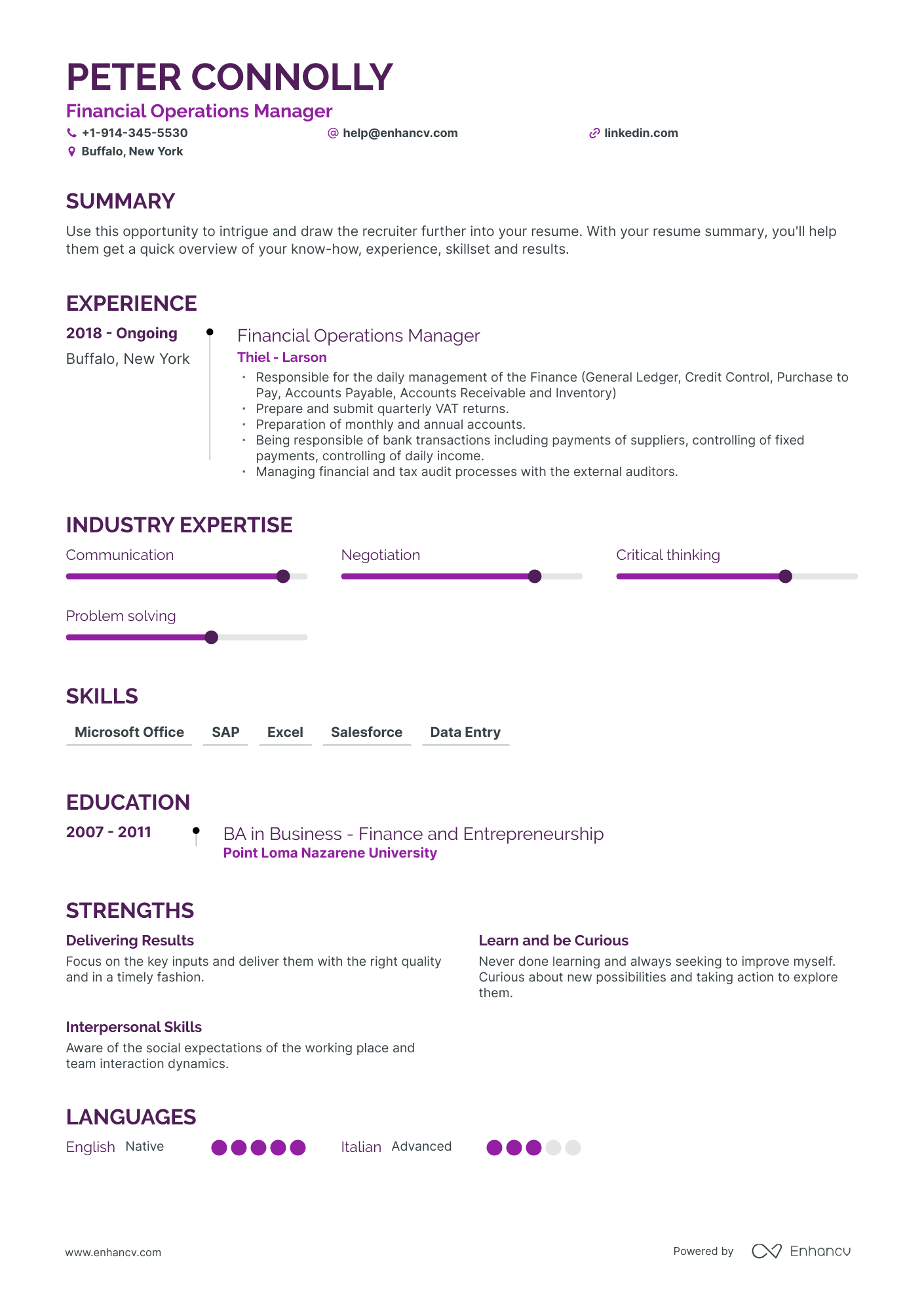 Financial Operations Manager Resume Examples & Guide for 2023 (Layout ...