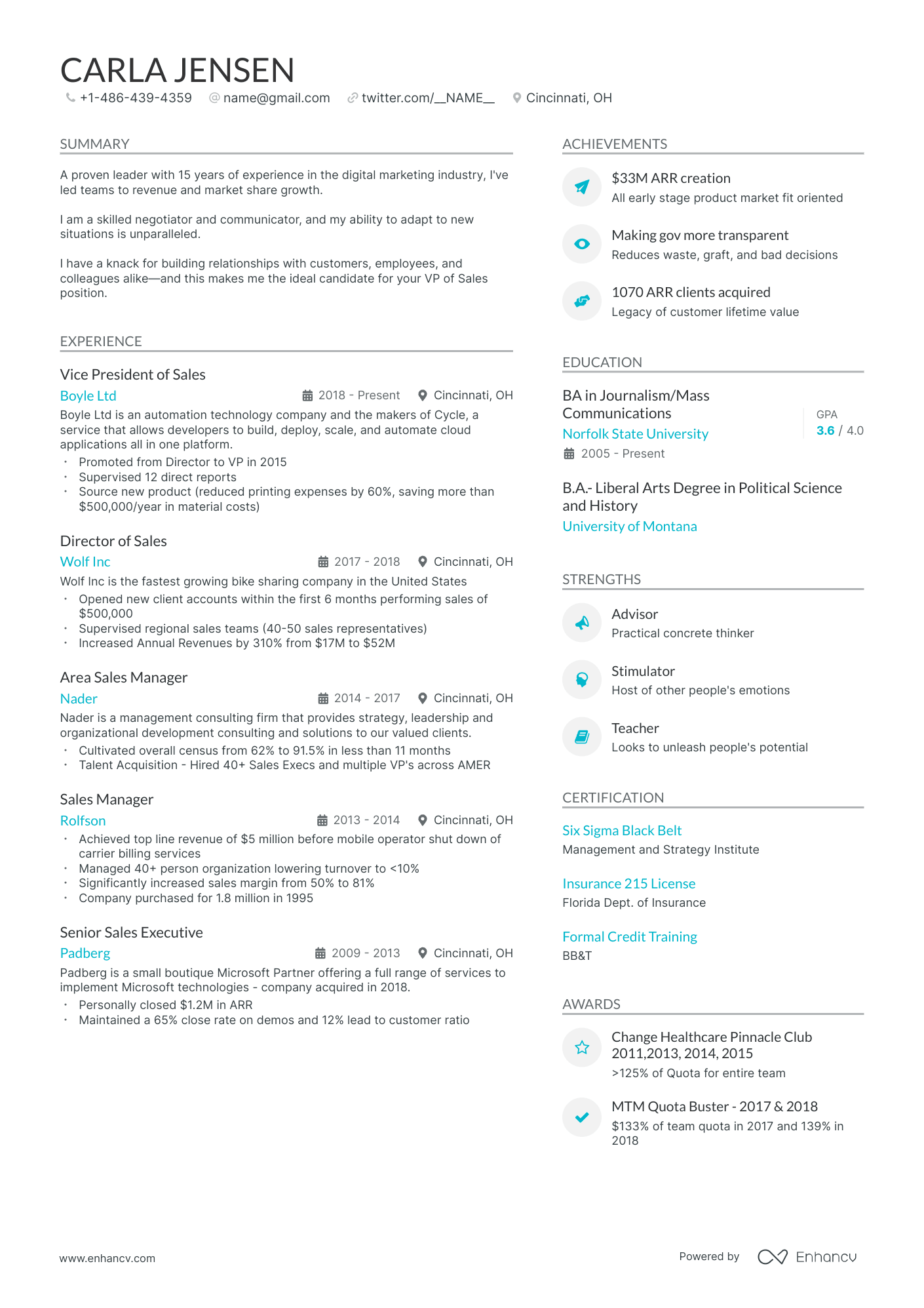 vice president of sales resume examples
