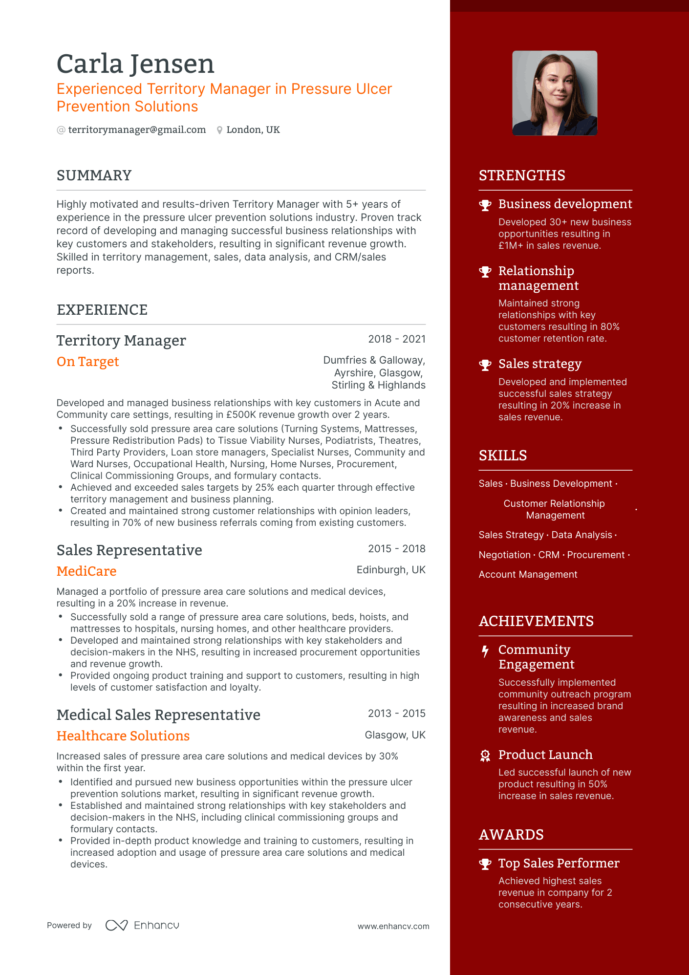 One Page Territory Manager Resume Template