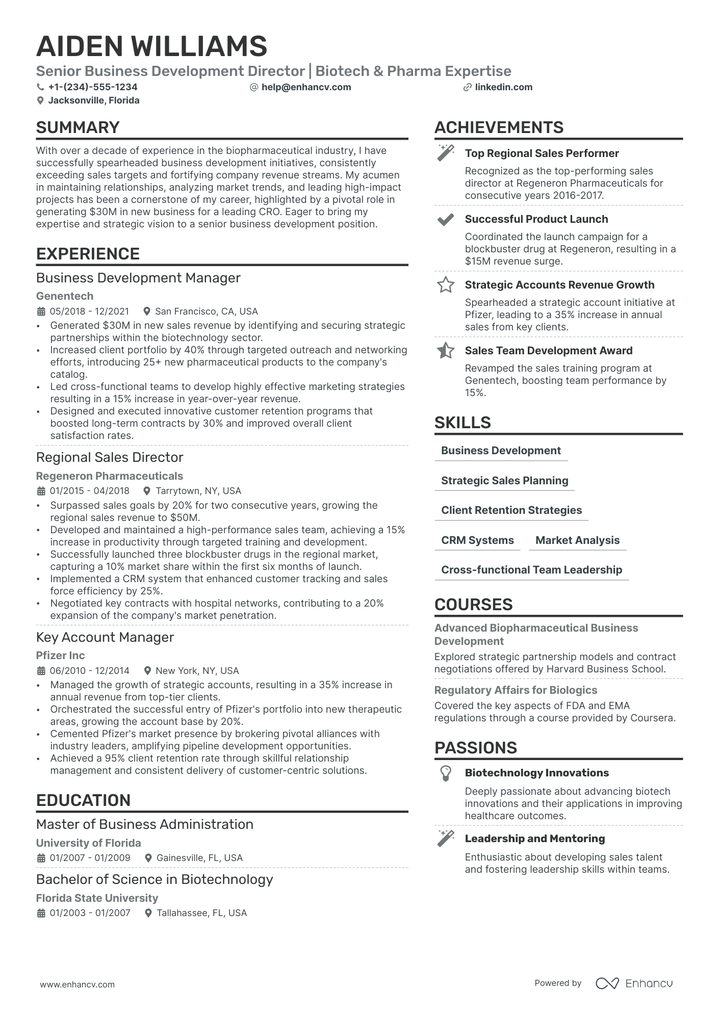 resume format for experienced business development executive