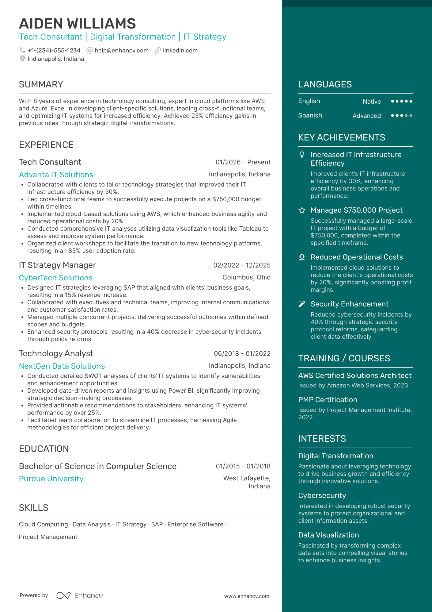 A resume example of a Tech Consultant