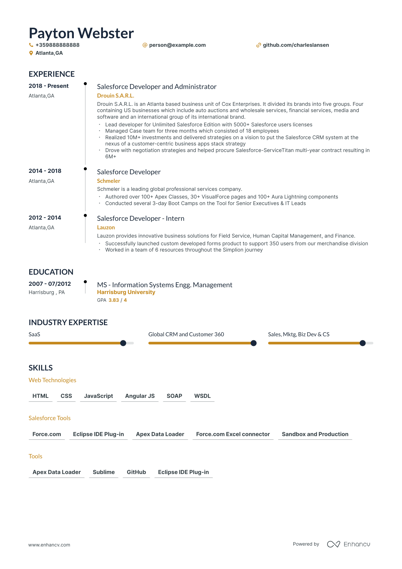sample resume for salesforce developer
