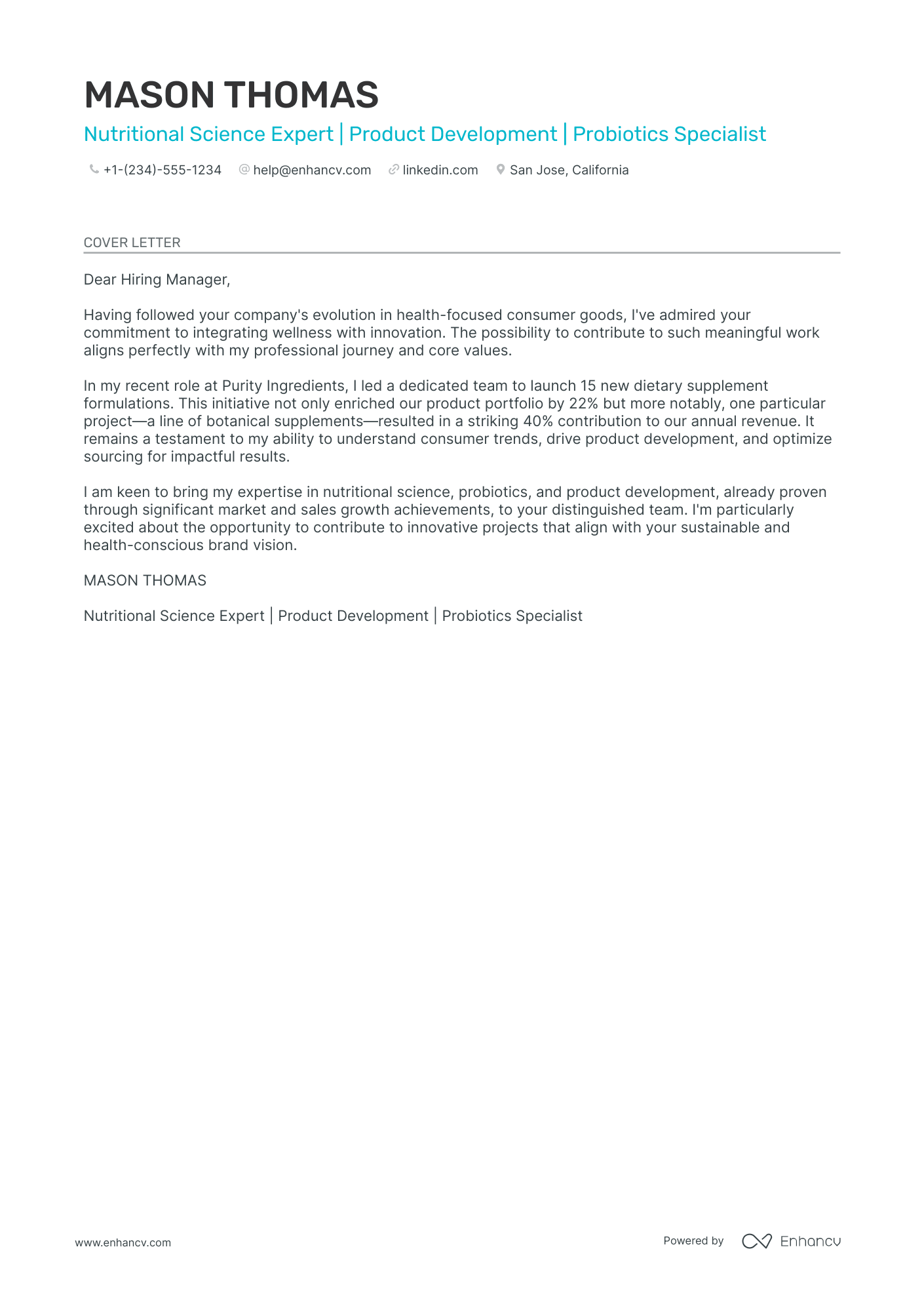 application letter for it director