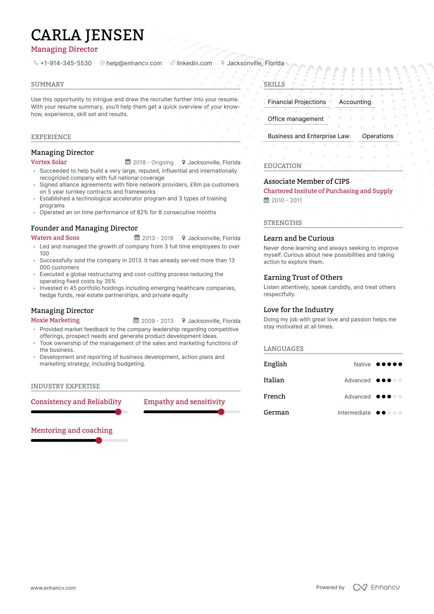 Modern Managing Director Resume Template