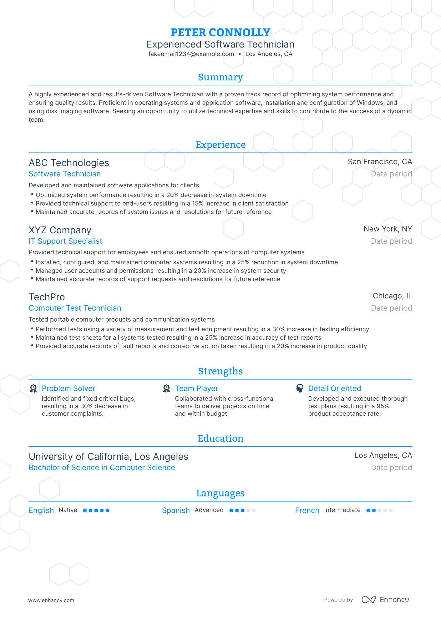 Traditional Software Technician Resume Template