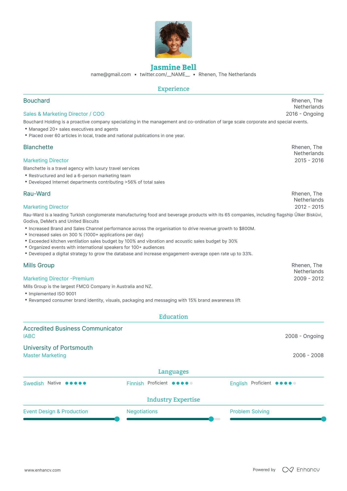 Traditional VP Marketing Resume Template