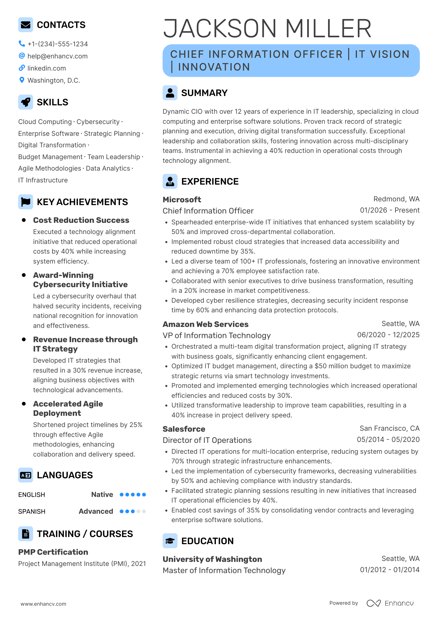 A resume example of a CIO