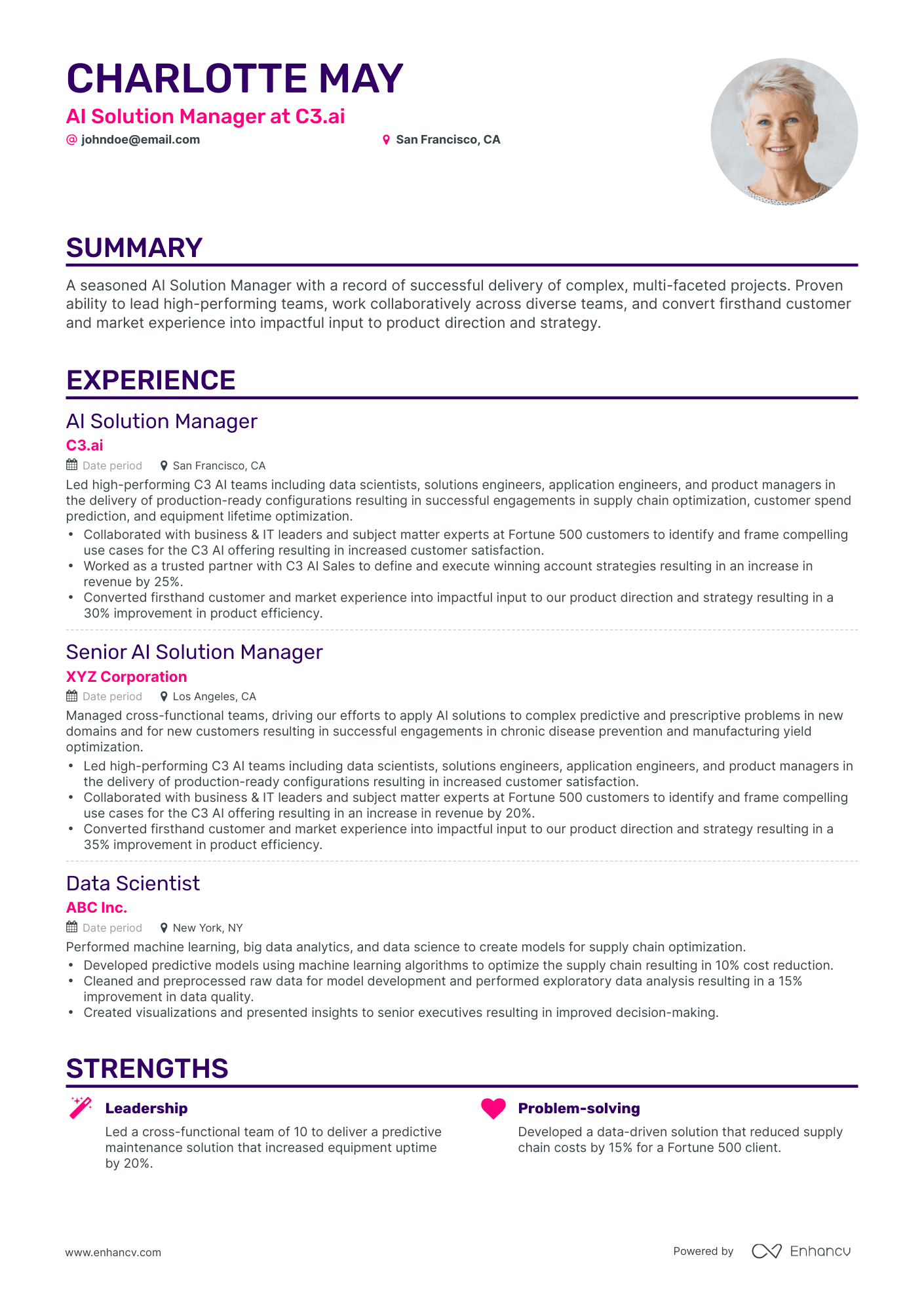 Classic Solution Manager Resume Template