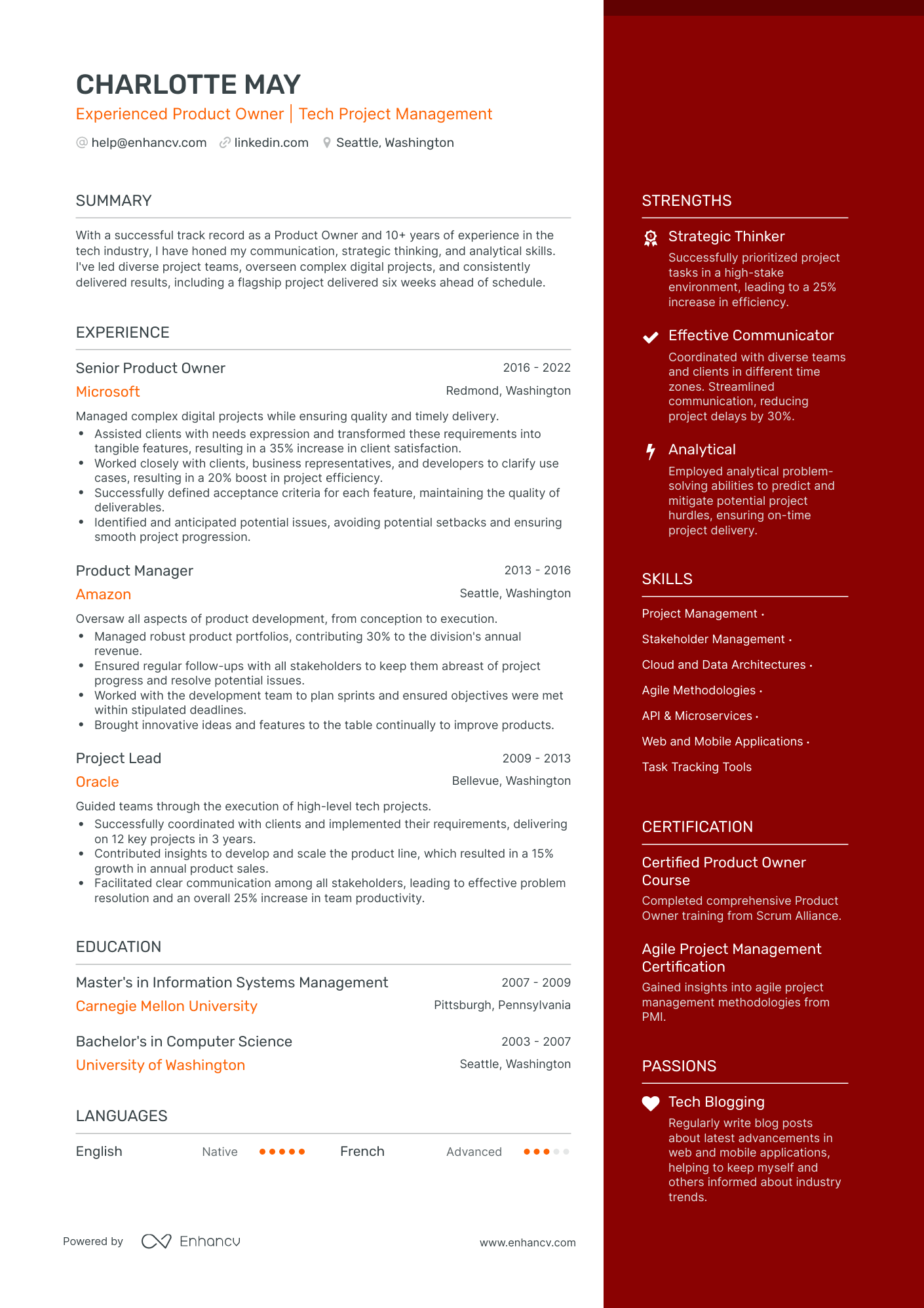 undefined Product Owner Resume Template