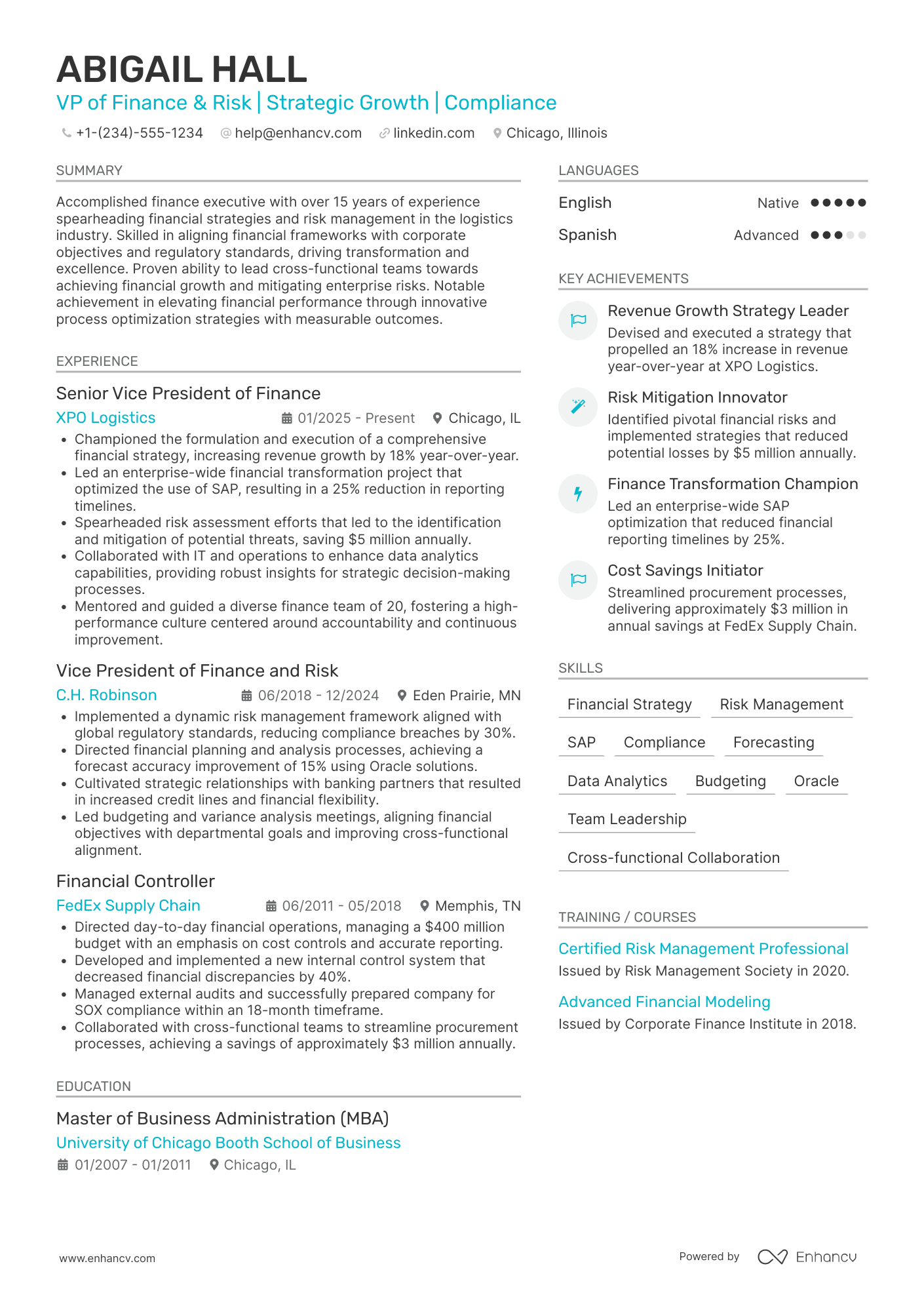 A resume example of a VP of Finance and Risk Management