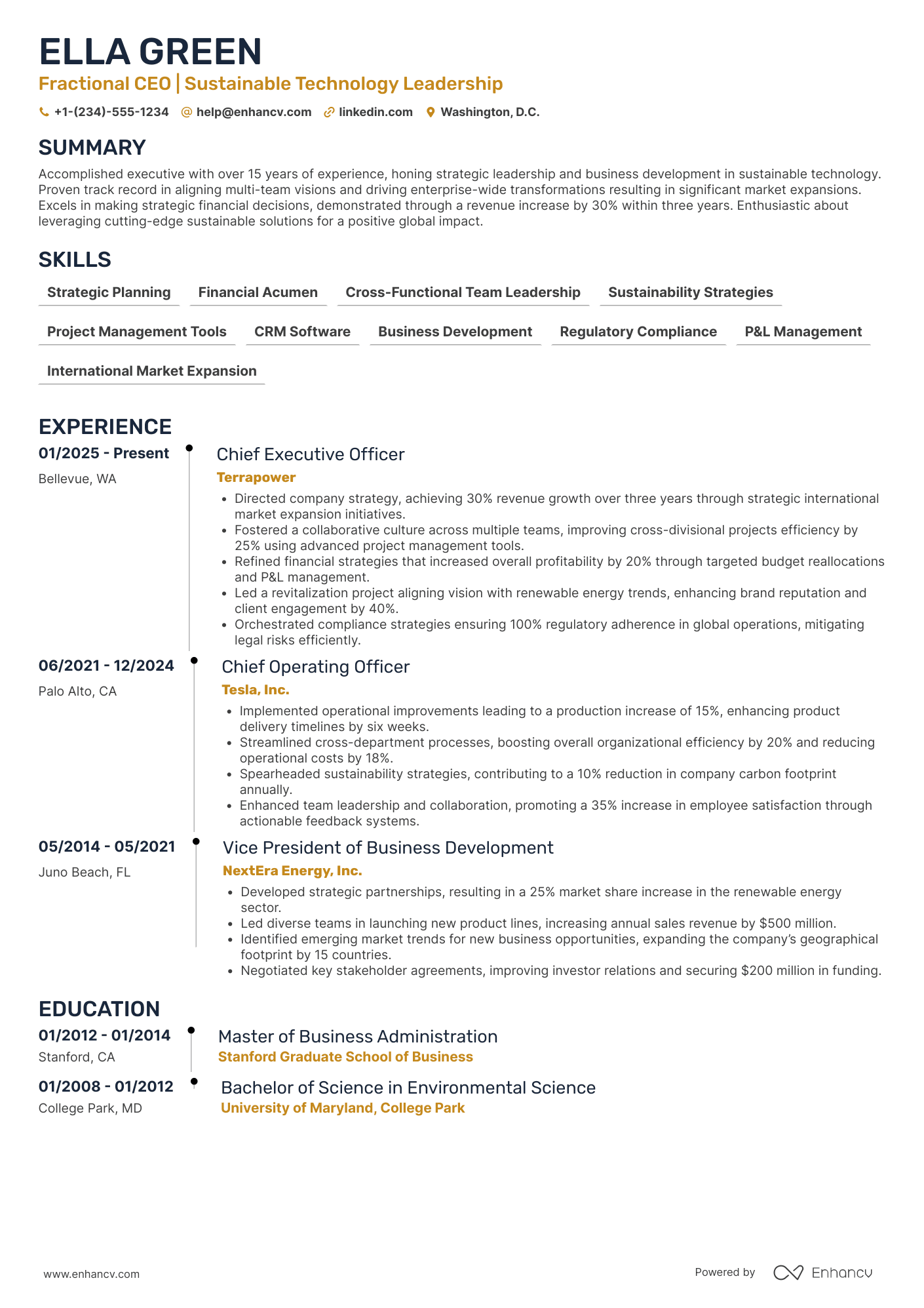 A resume example of a Fractional CEO