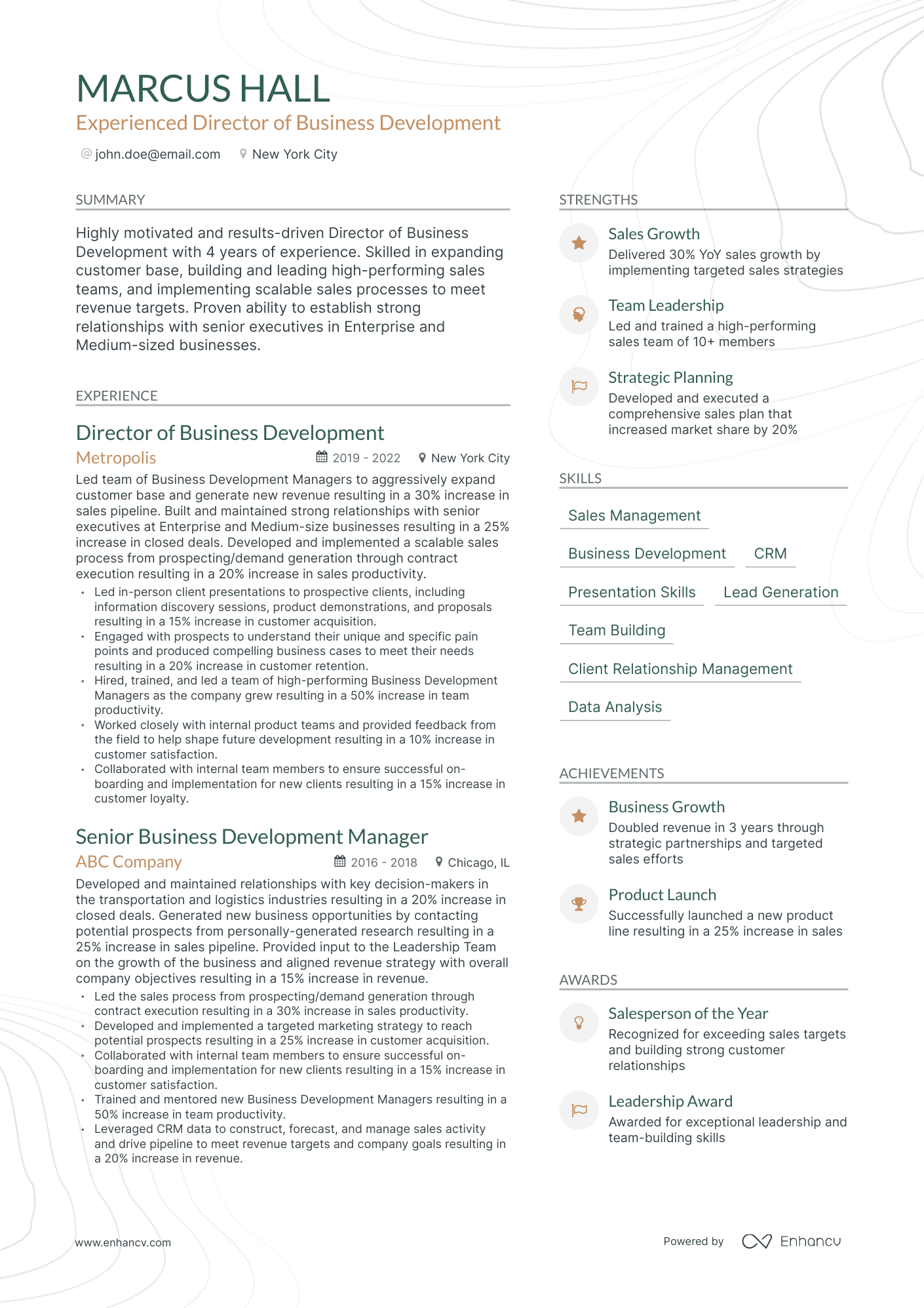 Modern Director of Business Development Resume Template