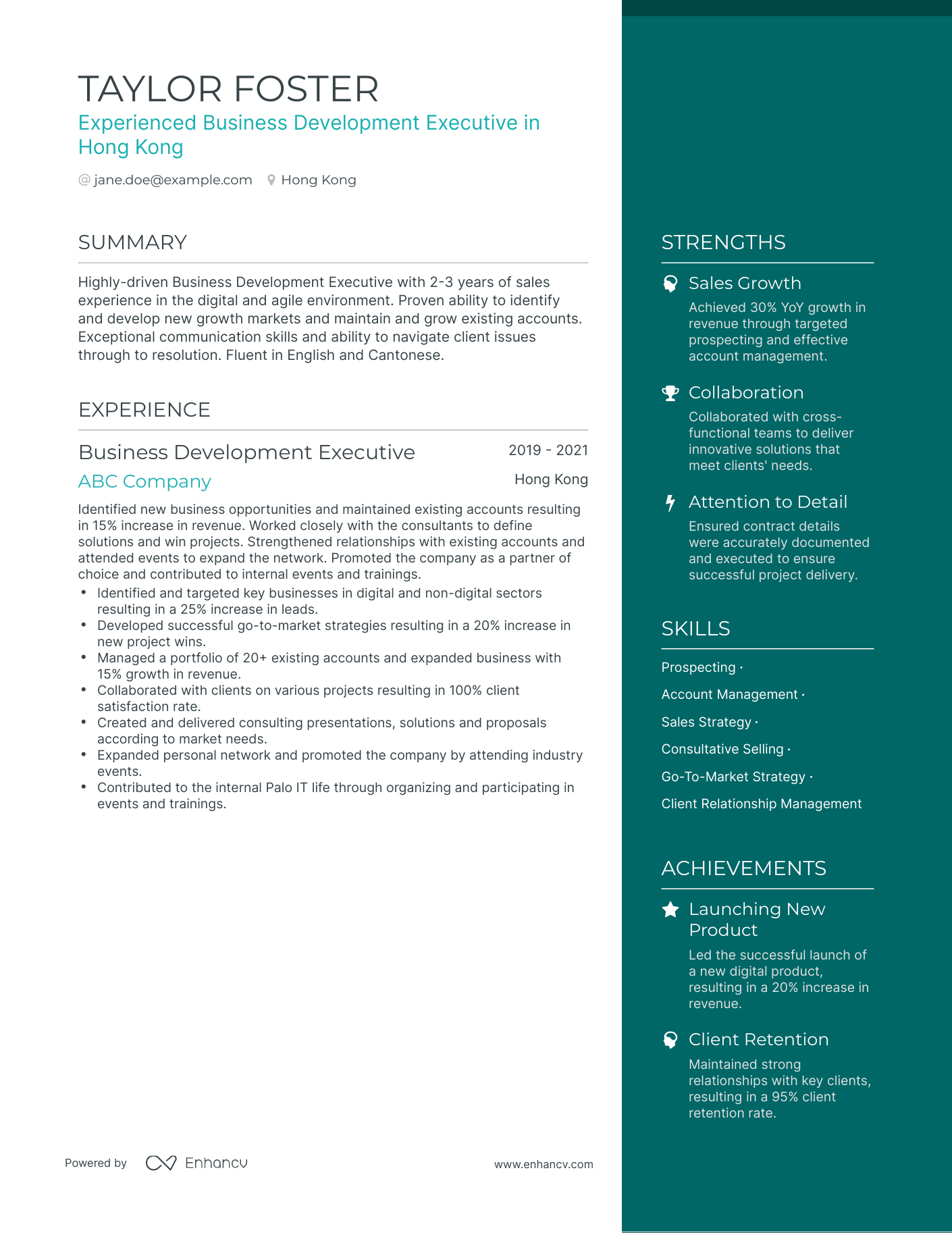 One Page Business Development Executive Resume Template