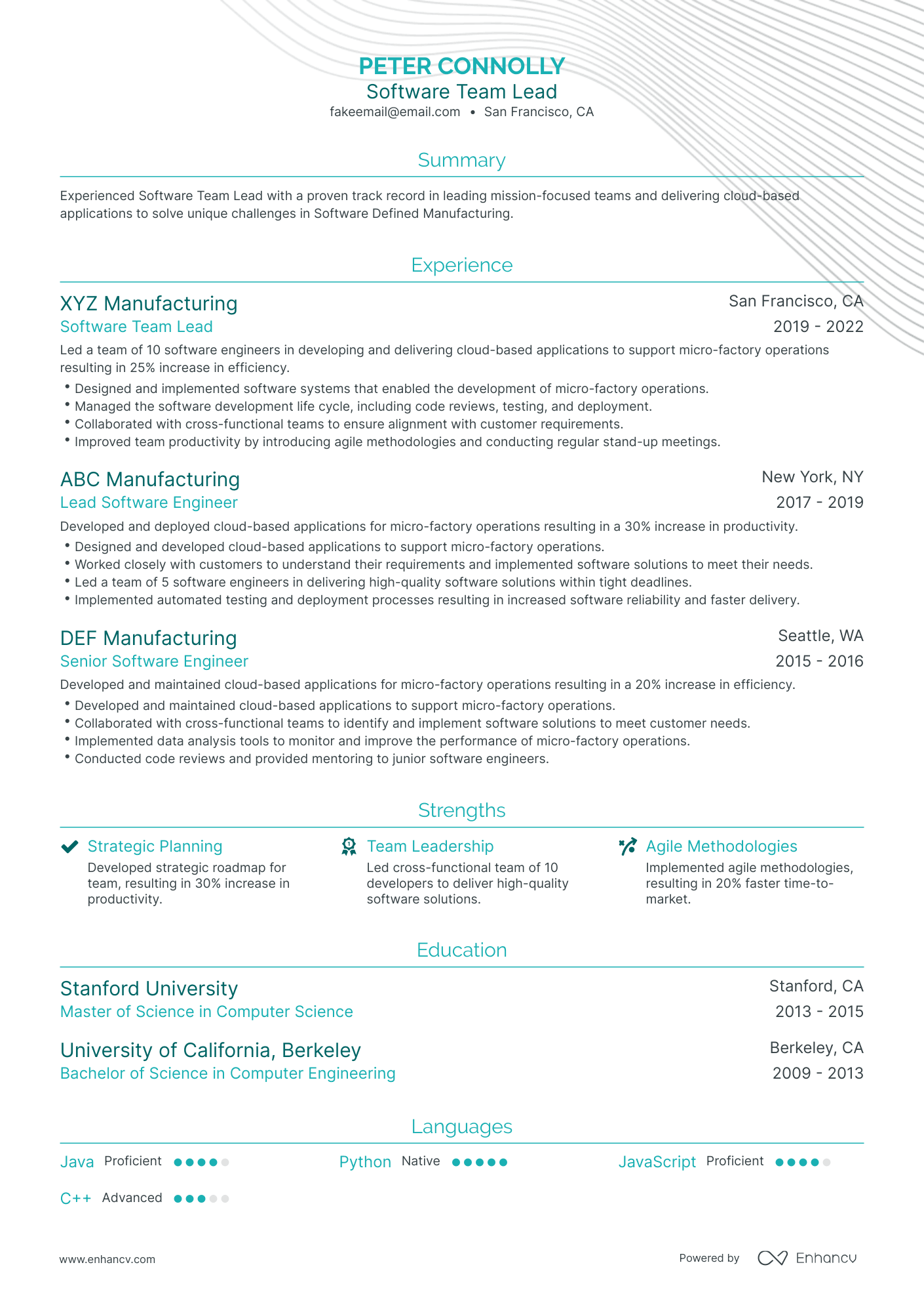 Traditional Software Team Lead Resume Template
