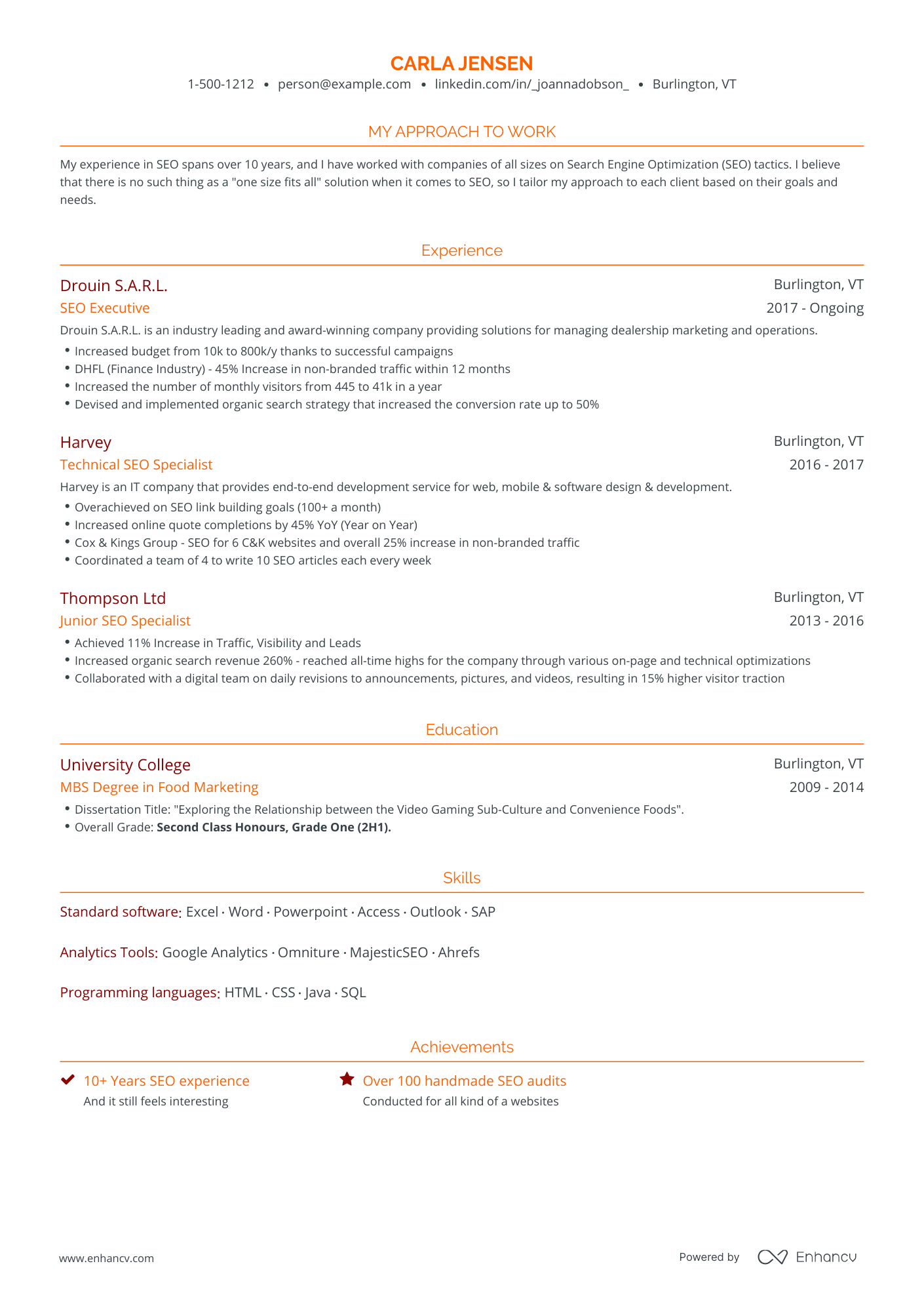 Traditional SEO Resume Template
