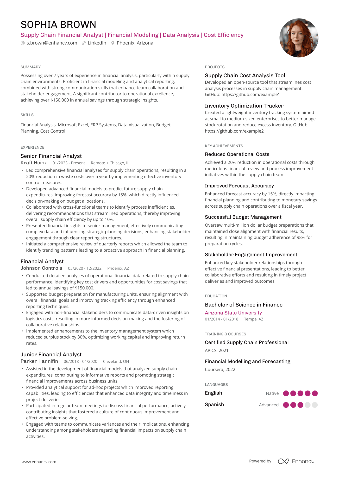 A resume example of a Supply Chain Performance Analyst